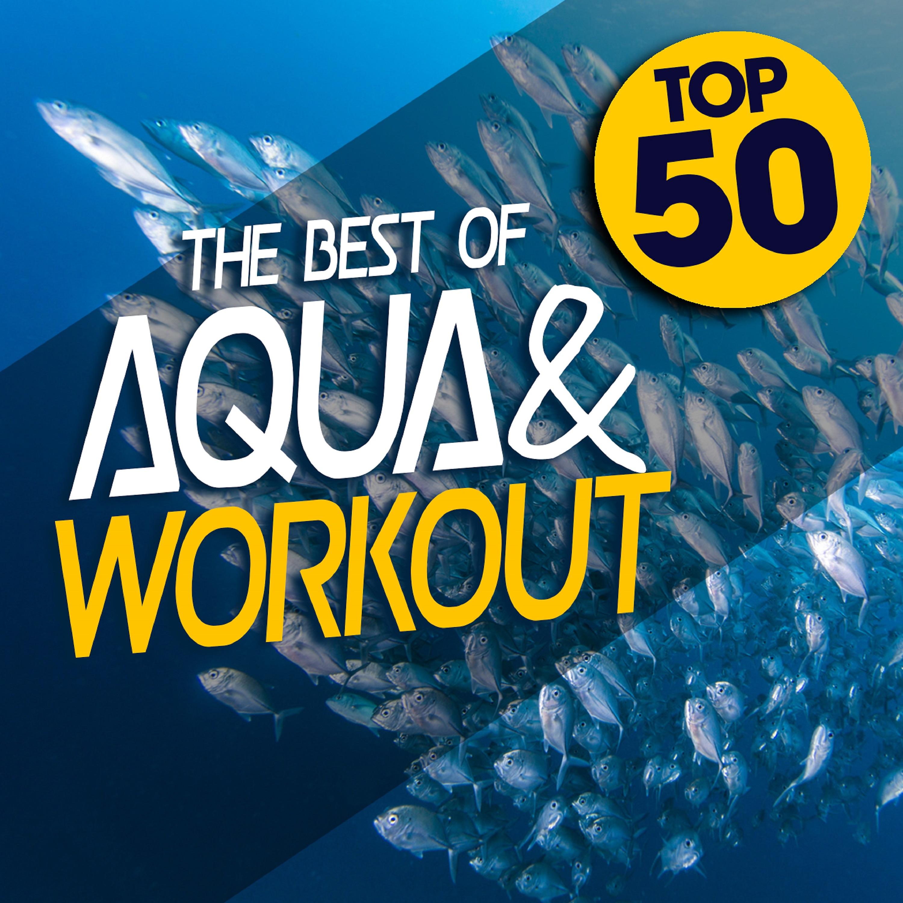 Постер альбома Top 50: The Best of Aqua and Workout