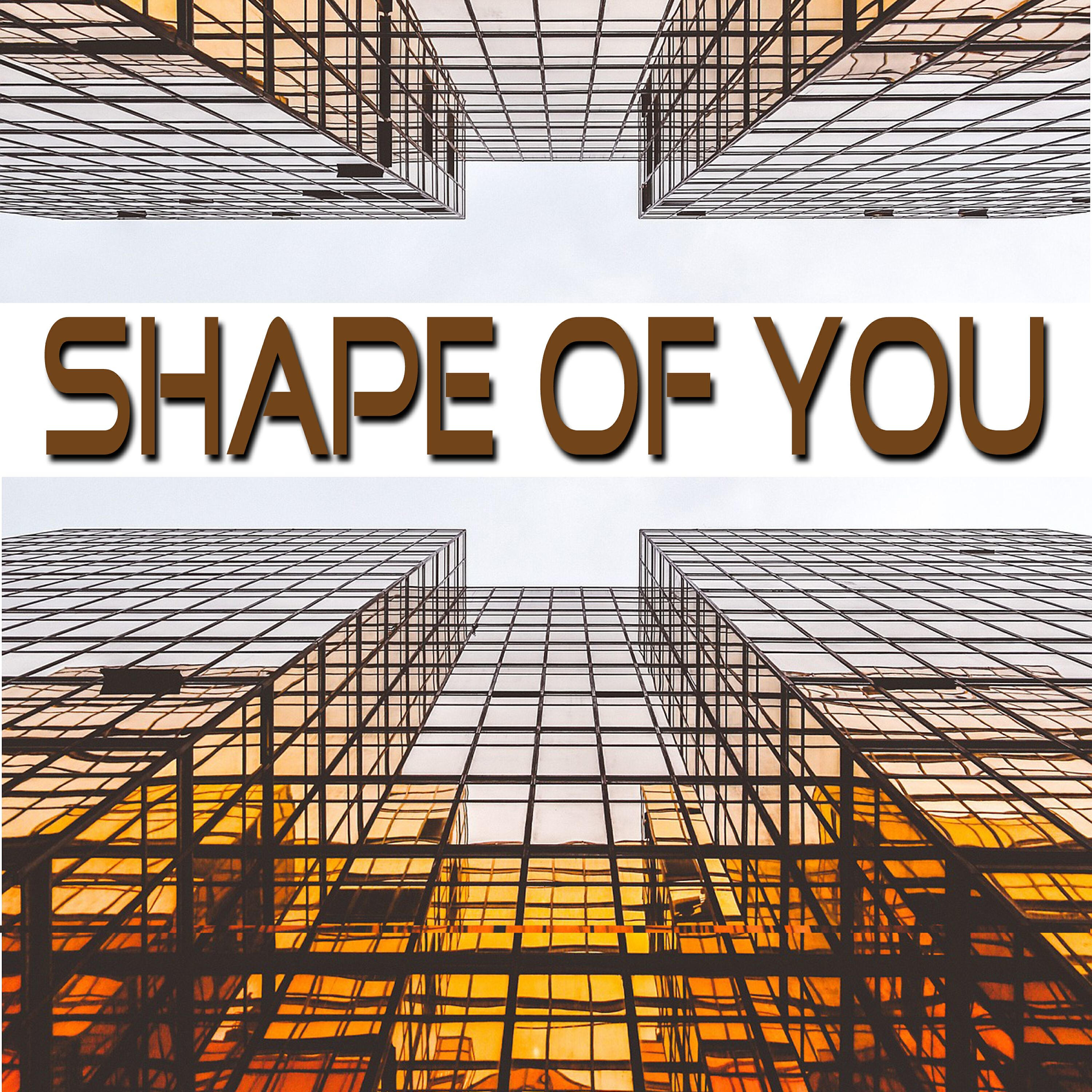 Shape of You - Shape of You (Instrumental, Playback, Karaoke)