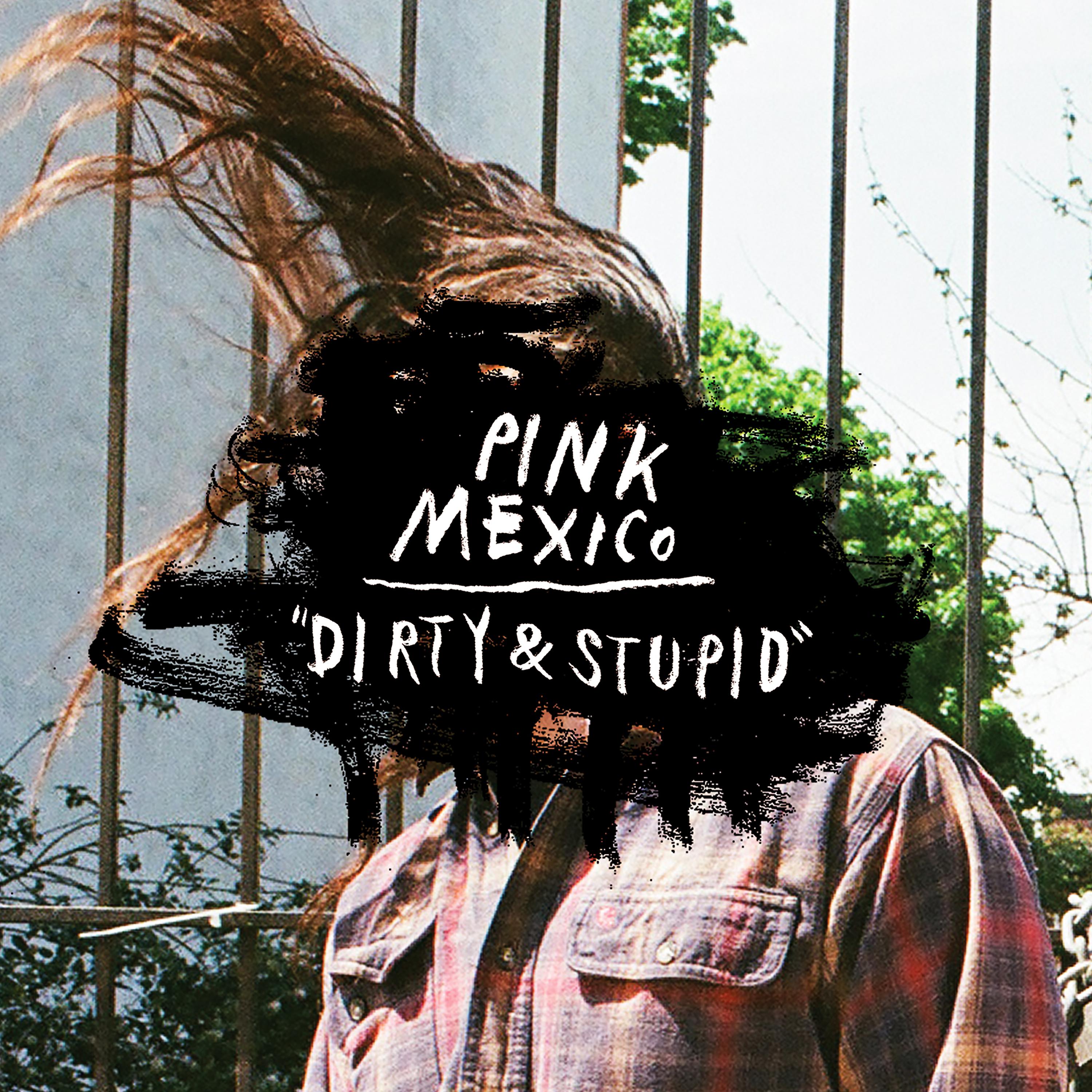 Постер альбома Dirty & Stupid