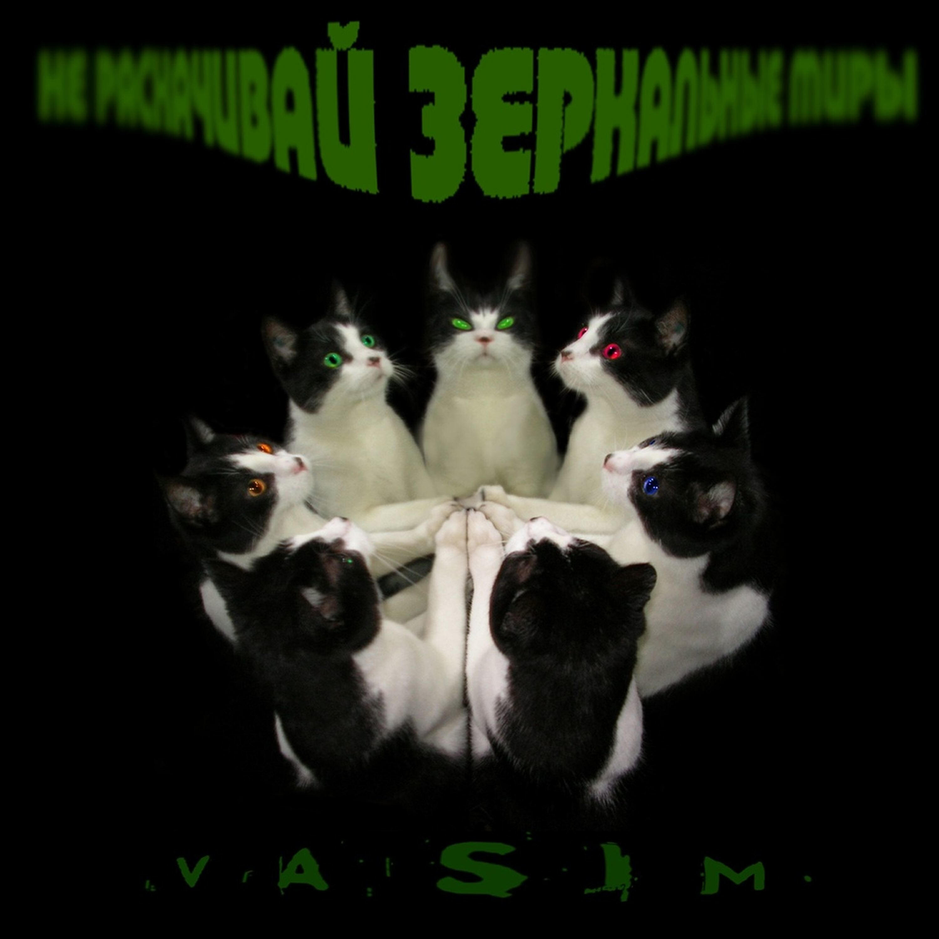 Vasim - Мистер Финч