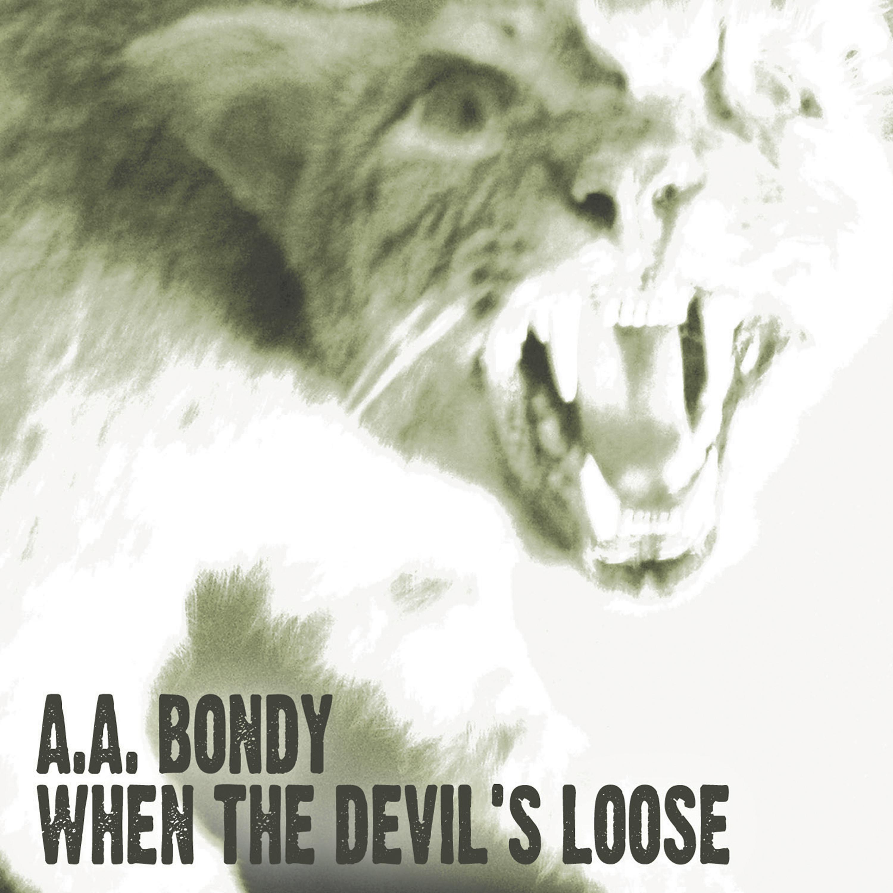 Постер альбома When the Devil's Loose