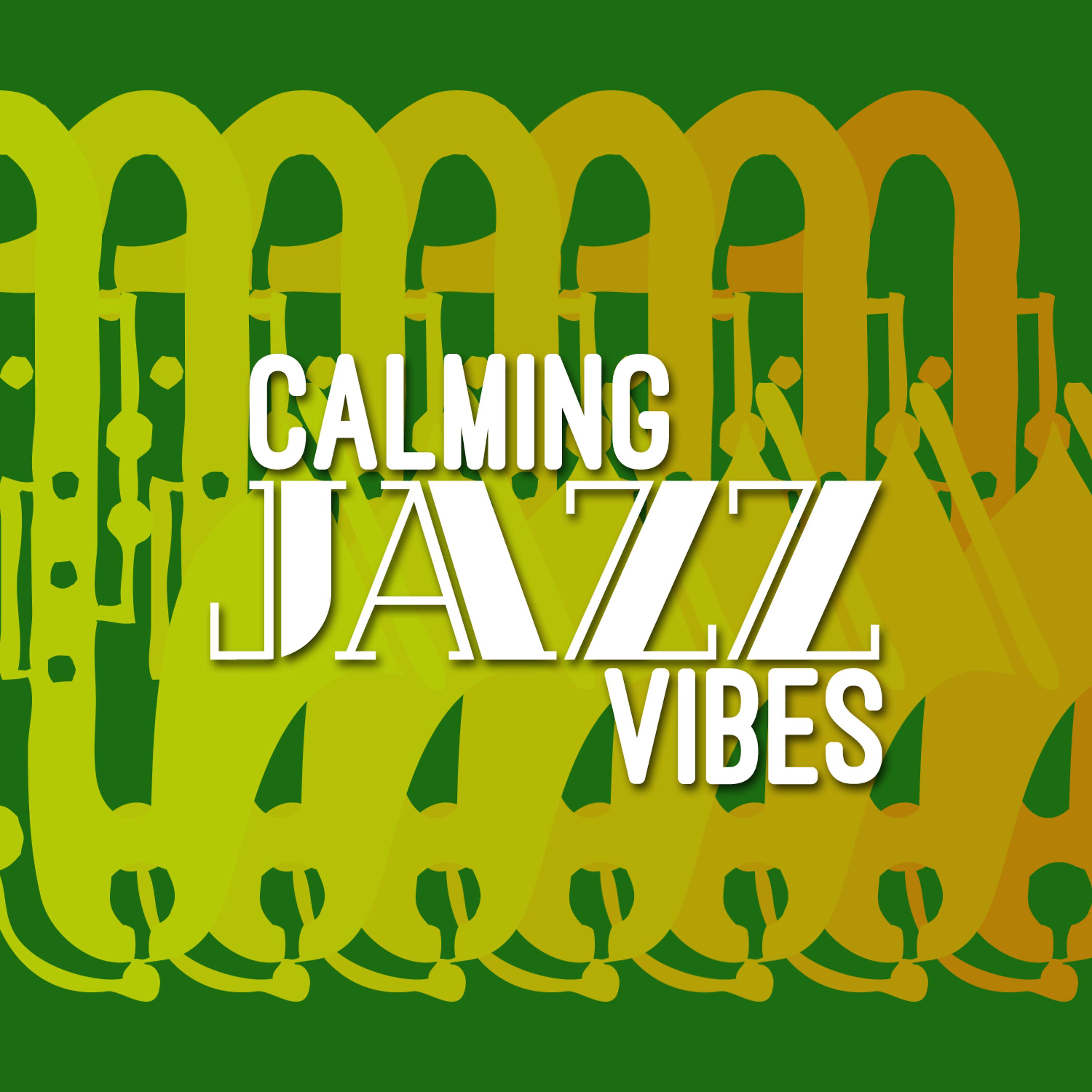 Постер альбома Calming Jazz Vibes