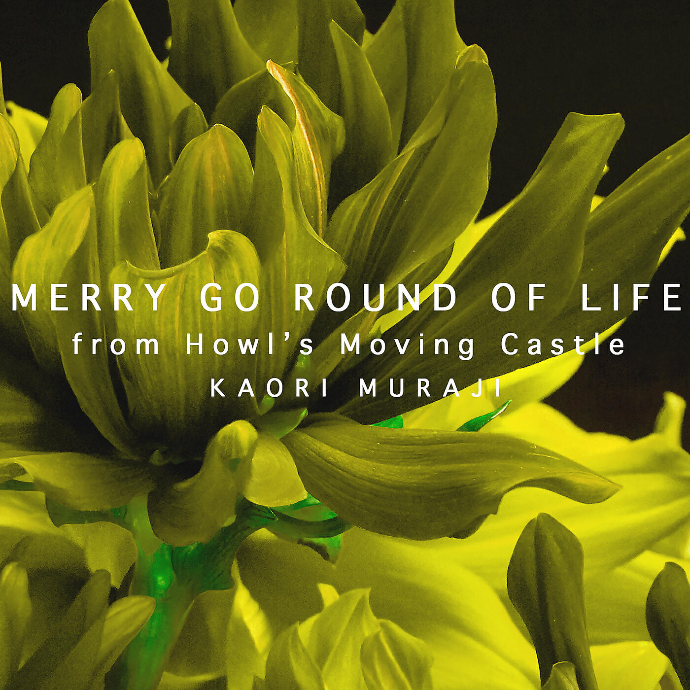 Kaori Muraji - Hisaishi: Merry Go Round of Life (Arr. Koseki) (From 