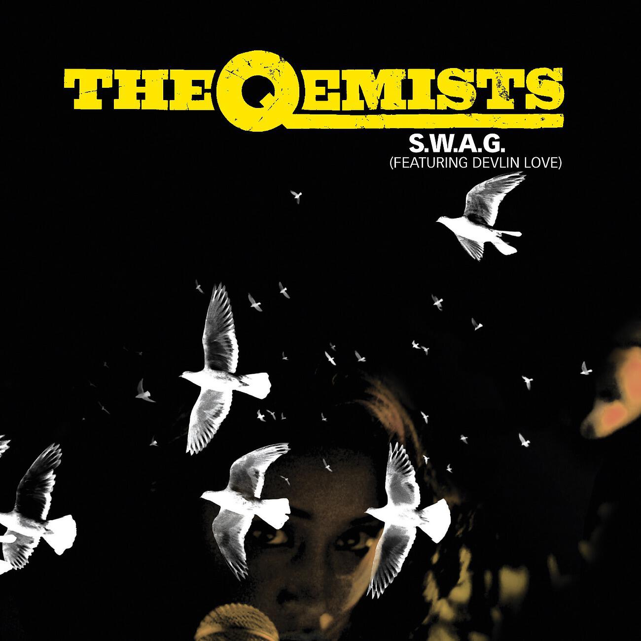 The Qemists - S.W.A.G. (Enter Shikari Remix)