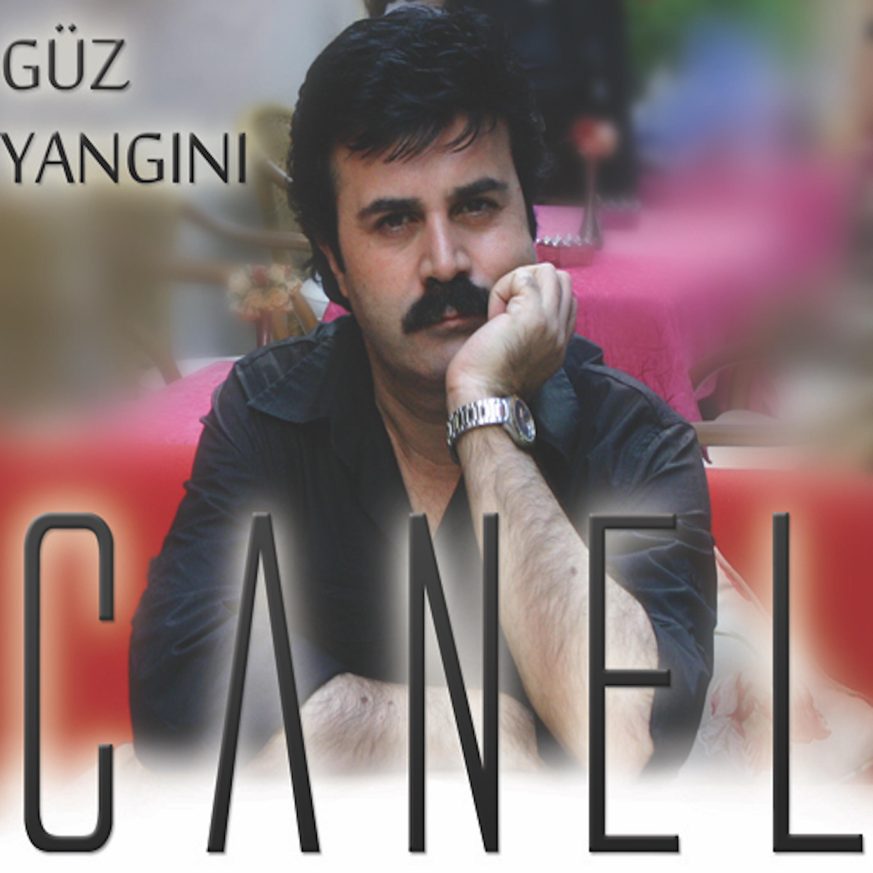 Canel - Hastane Önünde İncir Ağacı