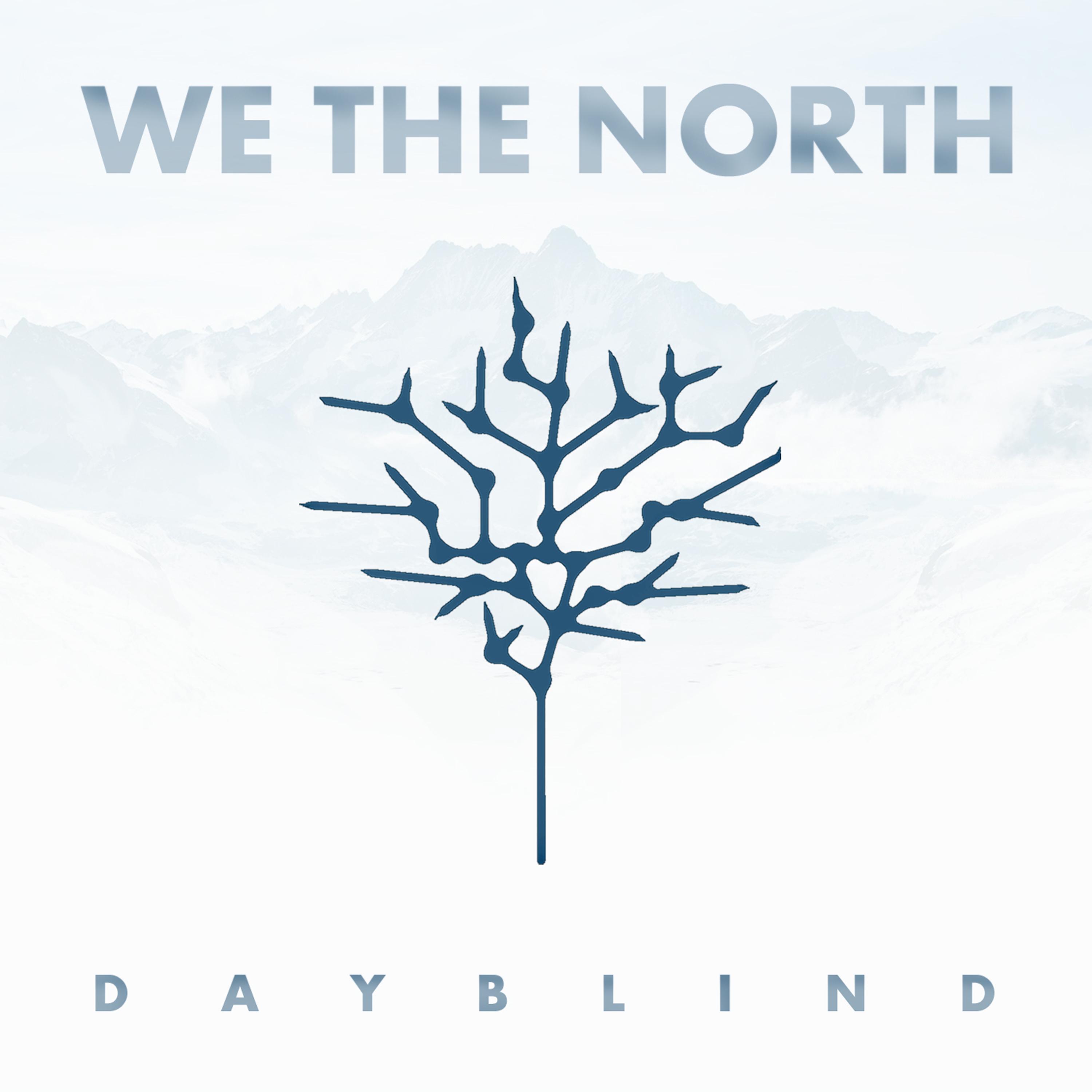 Постер альбома Dayblind