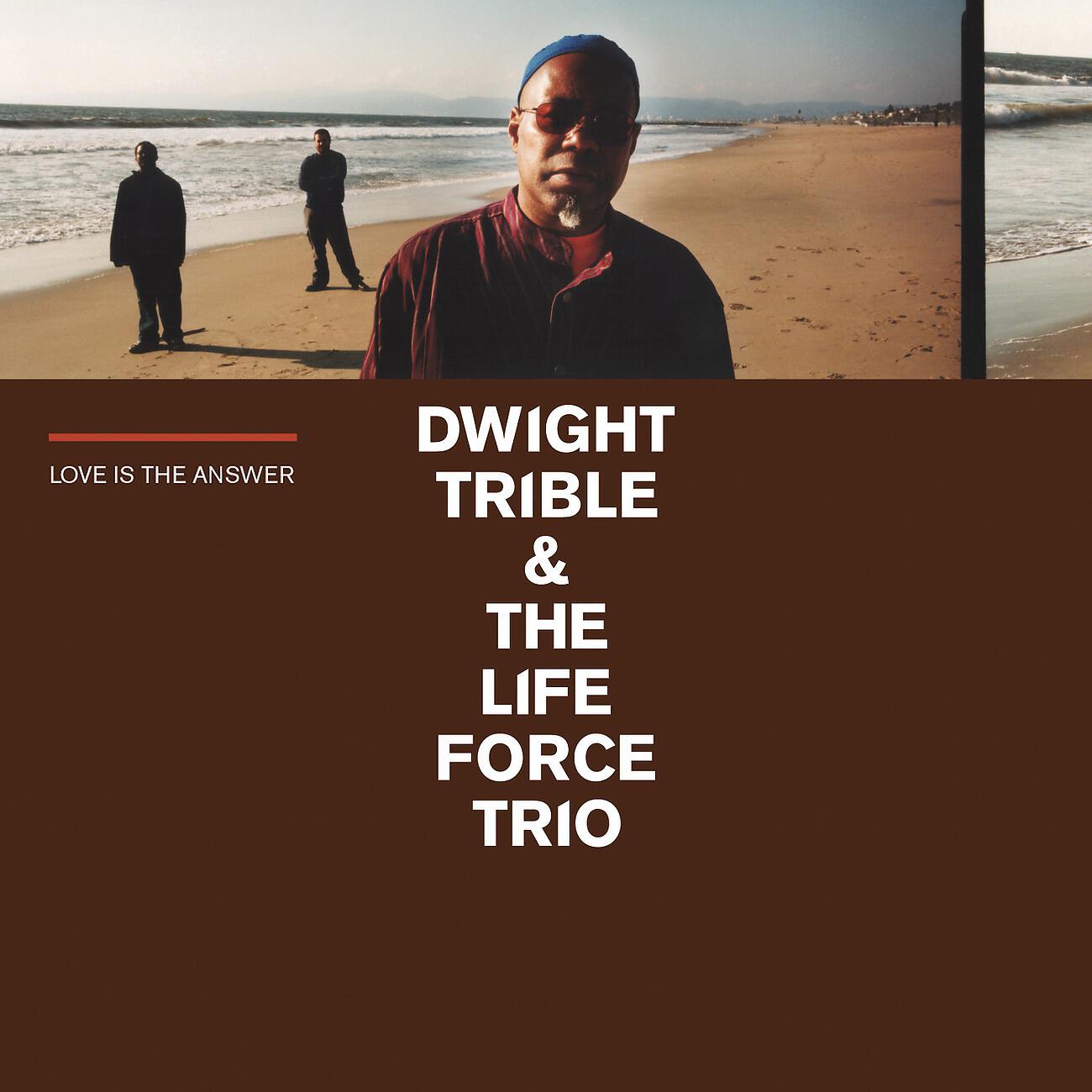 Dwight Trible - Antiquity