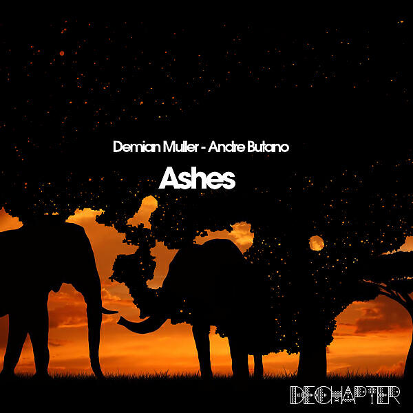 Demian Muller - Last of Us (Dub Mix)
