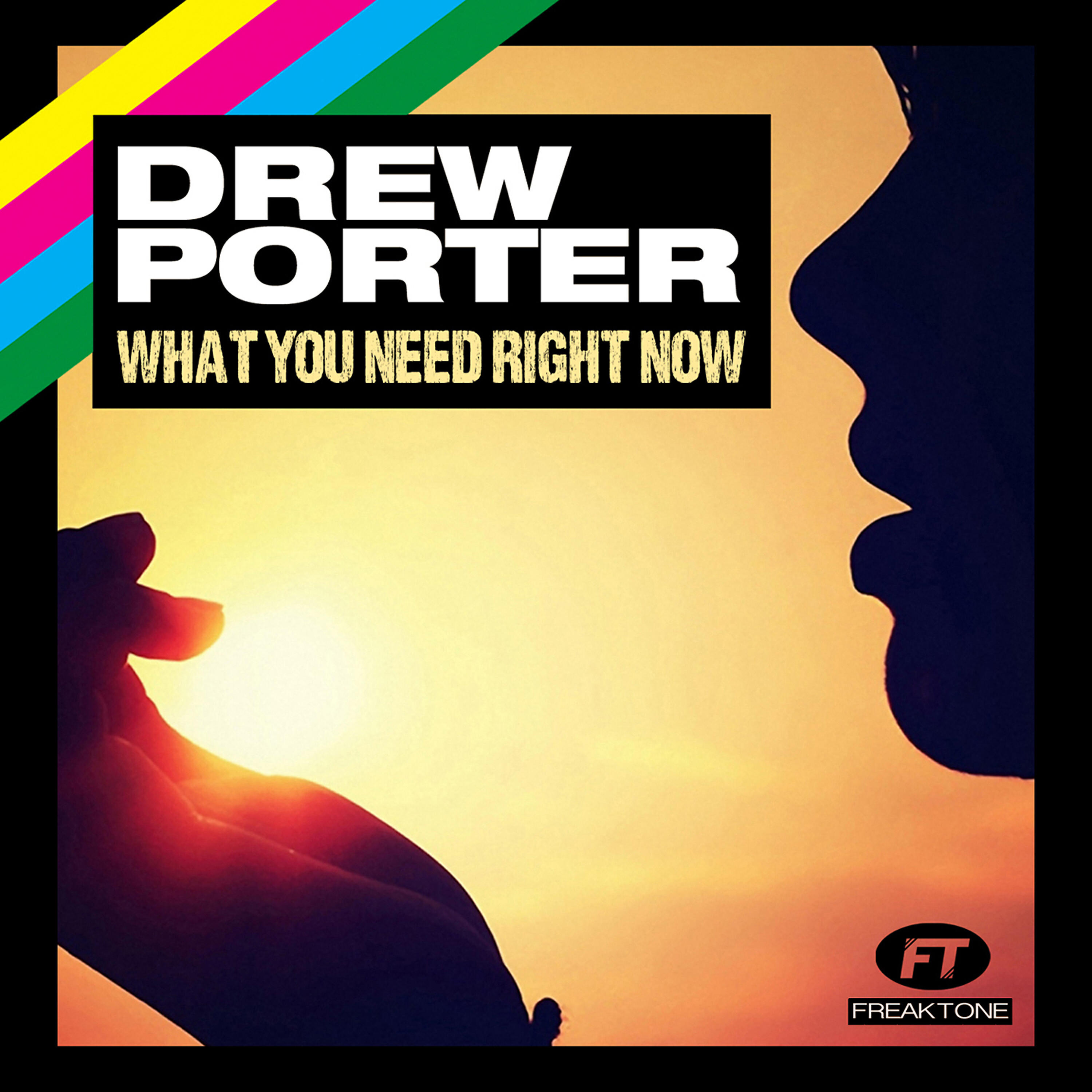 Drew Porter - What You Need Right Now (Bassmonkeys Club Mix)