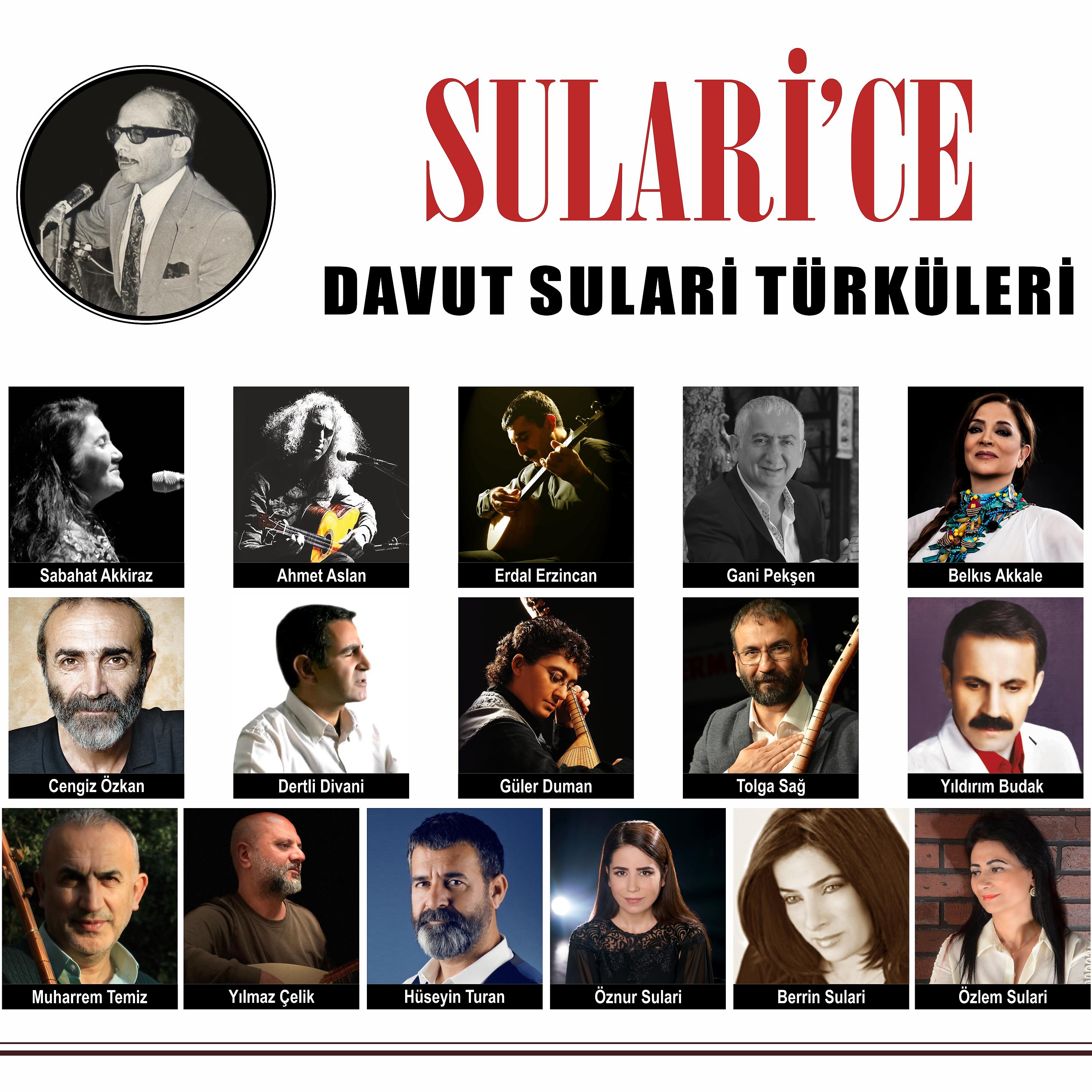 Постер альбома Sularice / Davut Sulari Türküleri