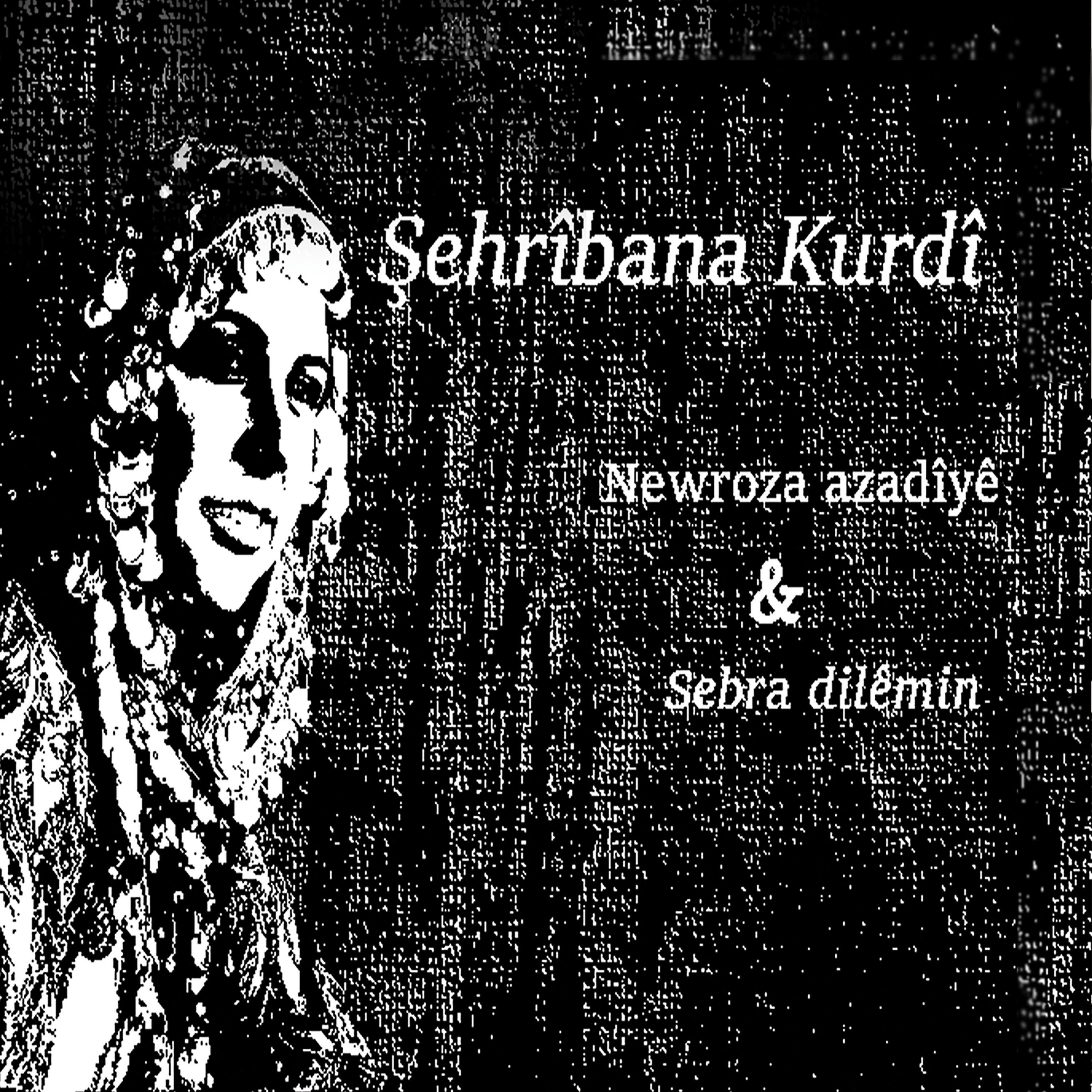 Постер альбома Newroz Azadiyê -Sebra Dilêmin