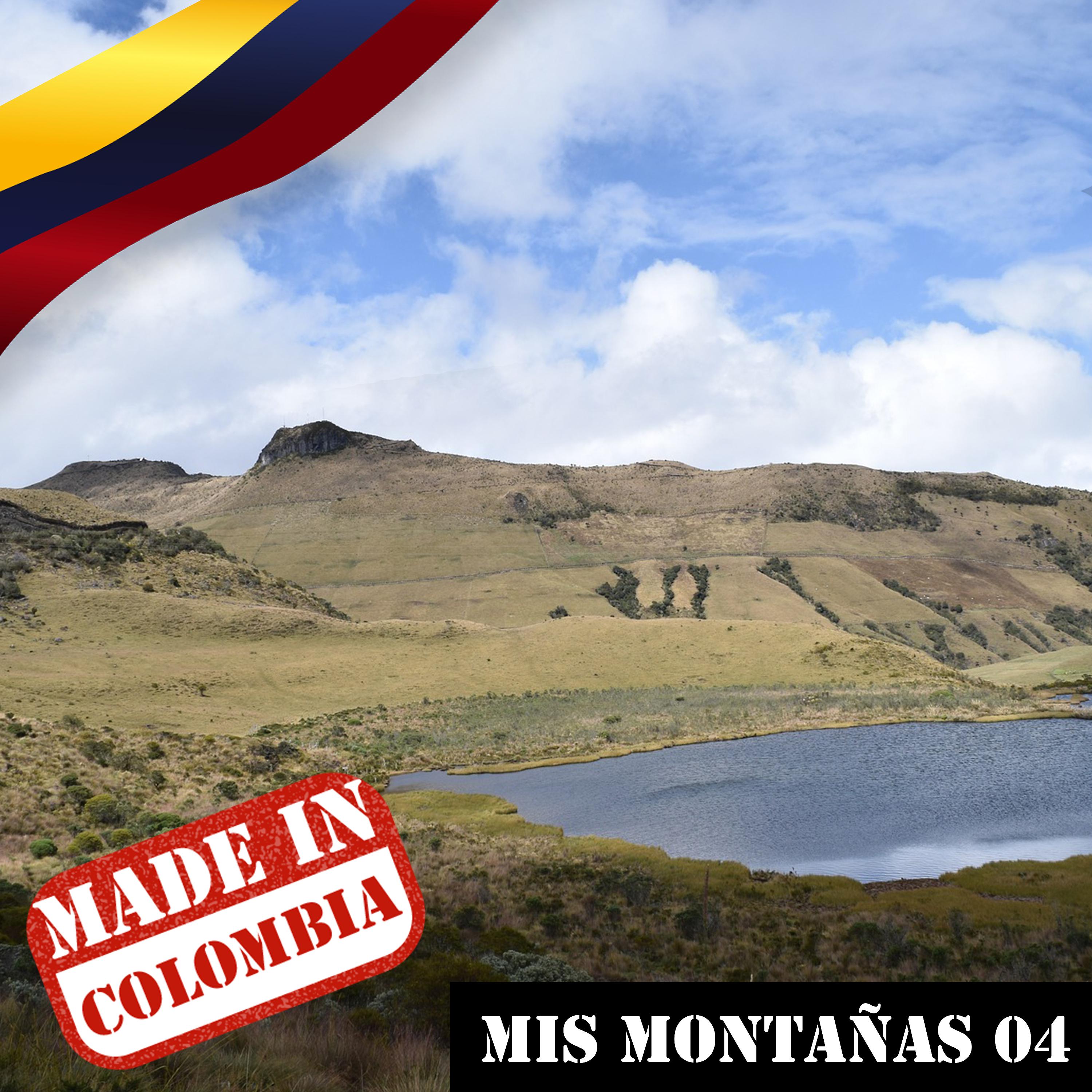 Постер альбома Made In Colombia / Mis Montañas / 4