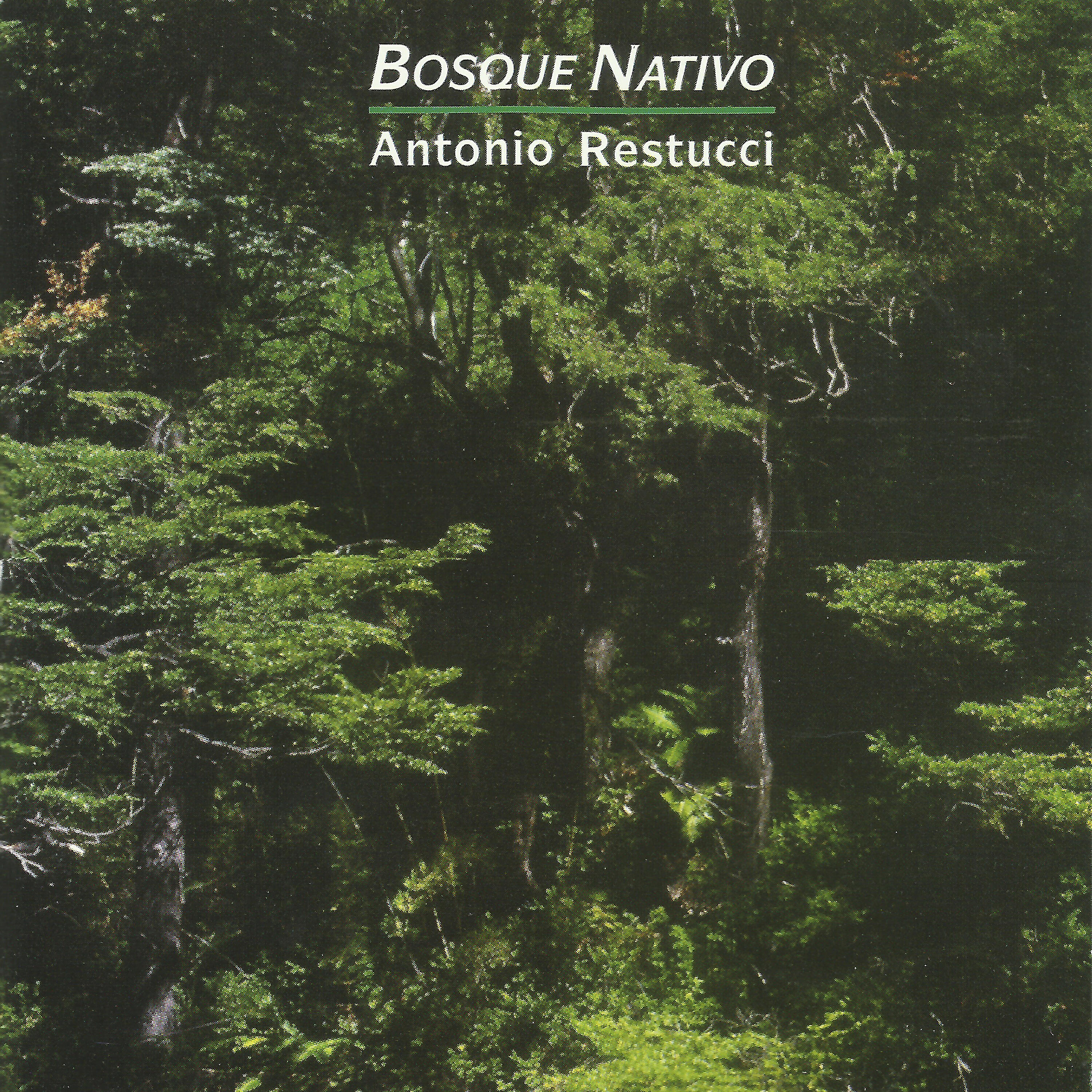Antonio Restucci - Bosque Nativo