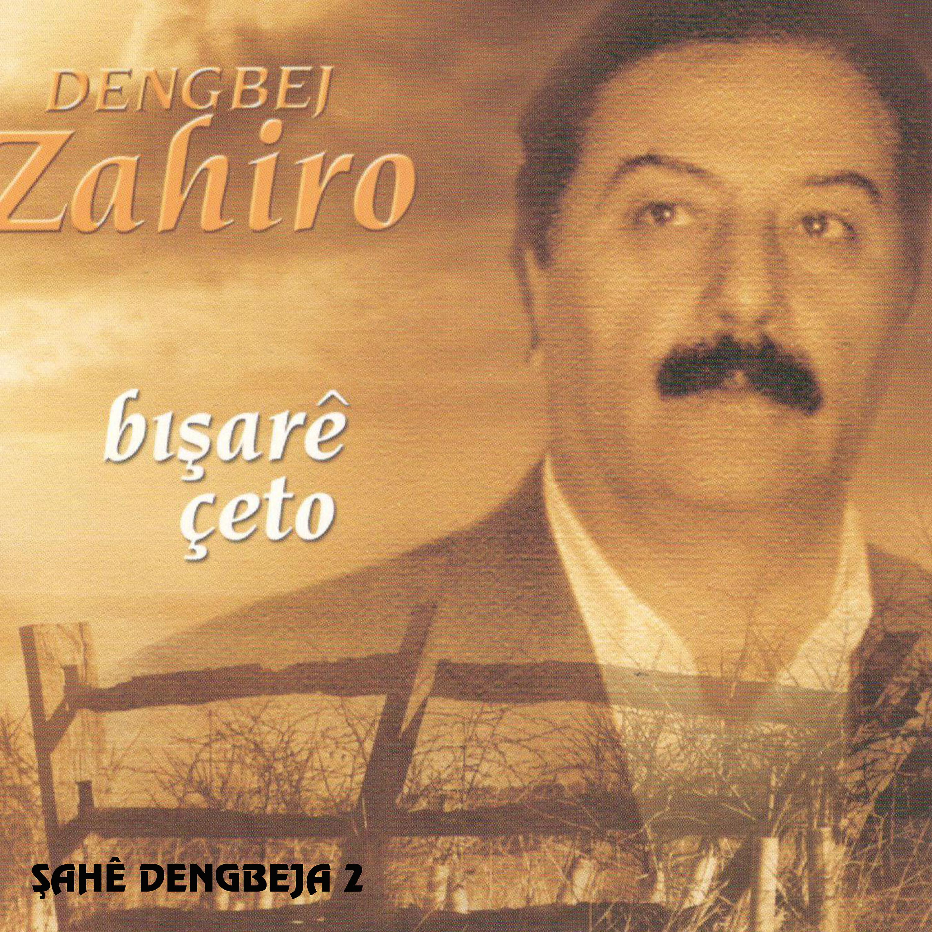 Постер альбома Dengbej / Bışaré Çeto Şahé Dengbeja Vol. 2