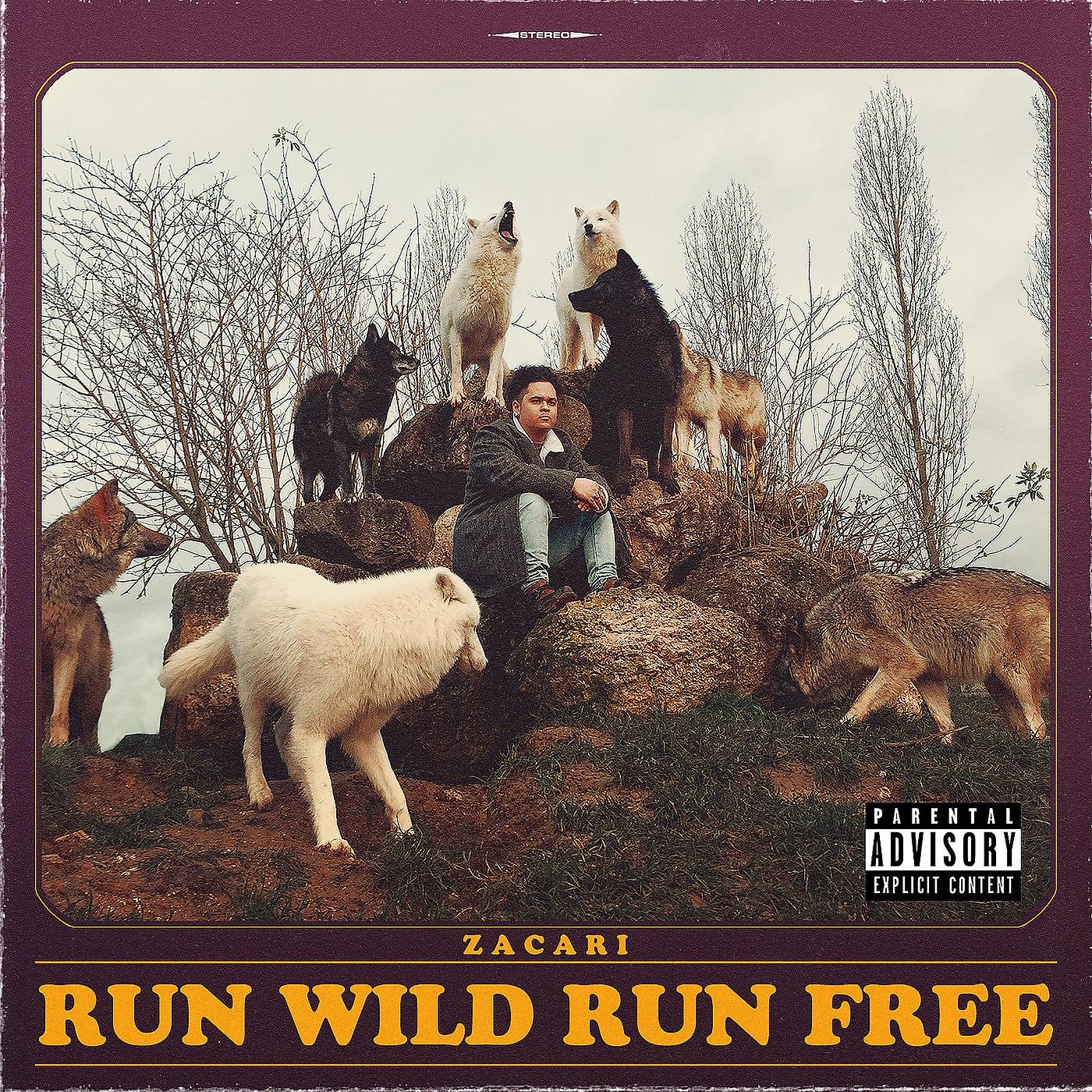 Постер альбома Run Wild Run Free
