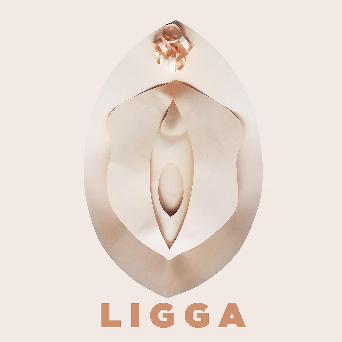 Постер альбома Ligga