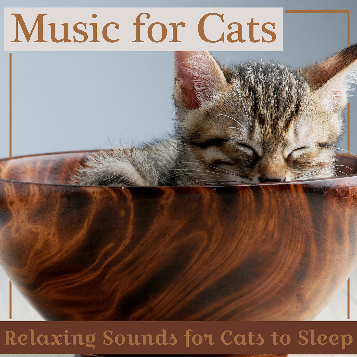 RelaxMyCat - Lullabies for Kitties