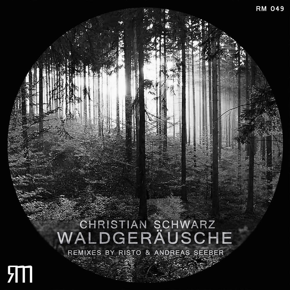 Christian Schwarz - Waldgeräusche (Risto Remix)