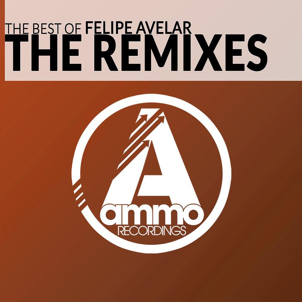 Felipe Avelar - Funky Lowdown (Hp Vince Remix)
