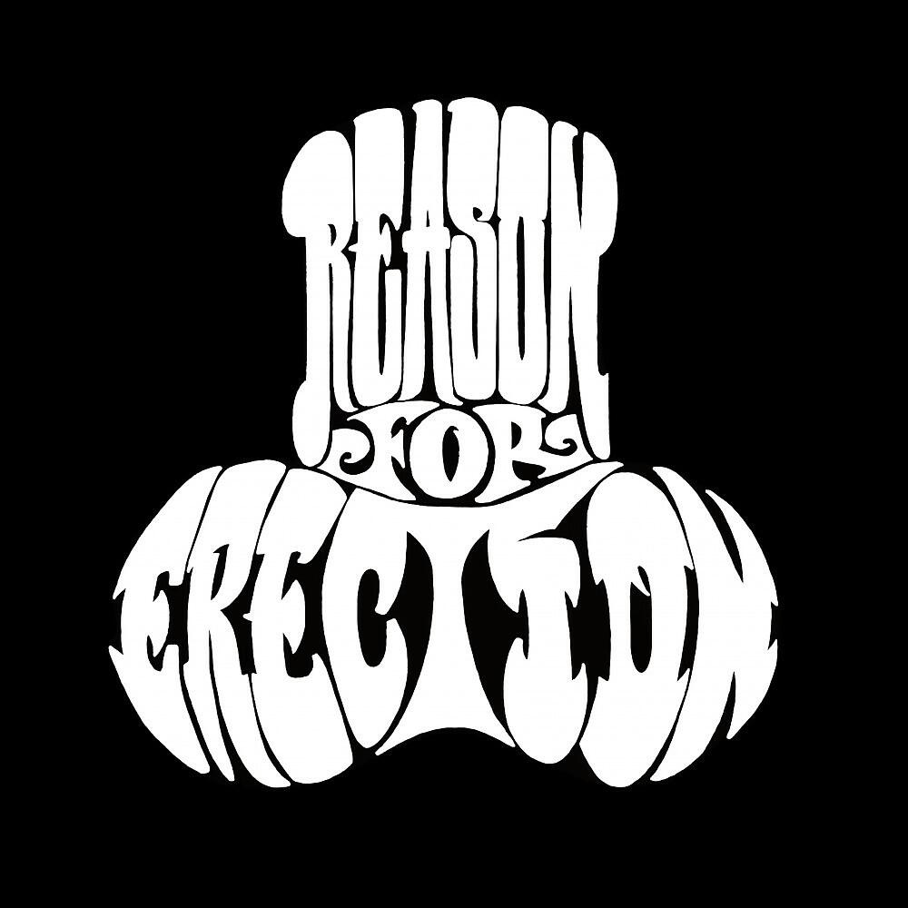 Reason for Erection - Nothing Is as It Seems