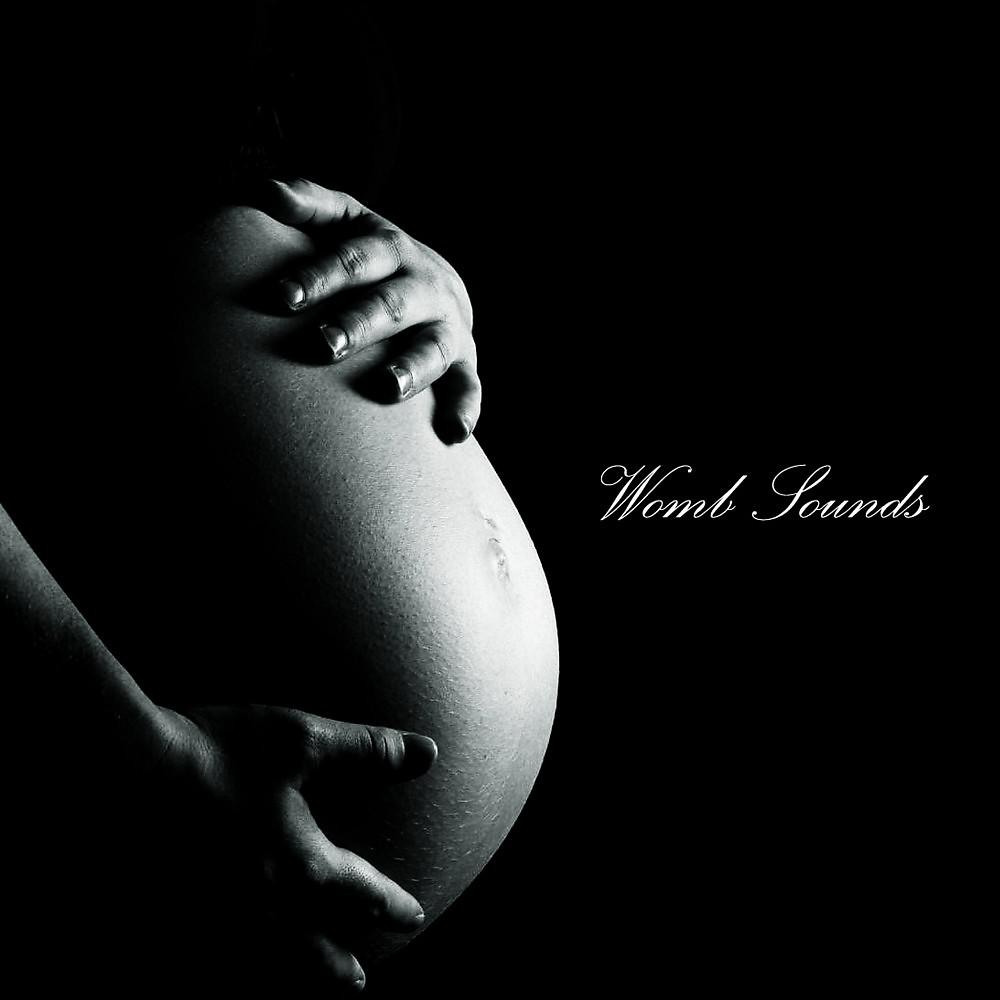 Постер альбома Womb Sounds