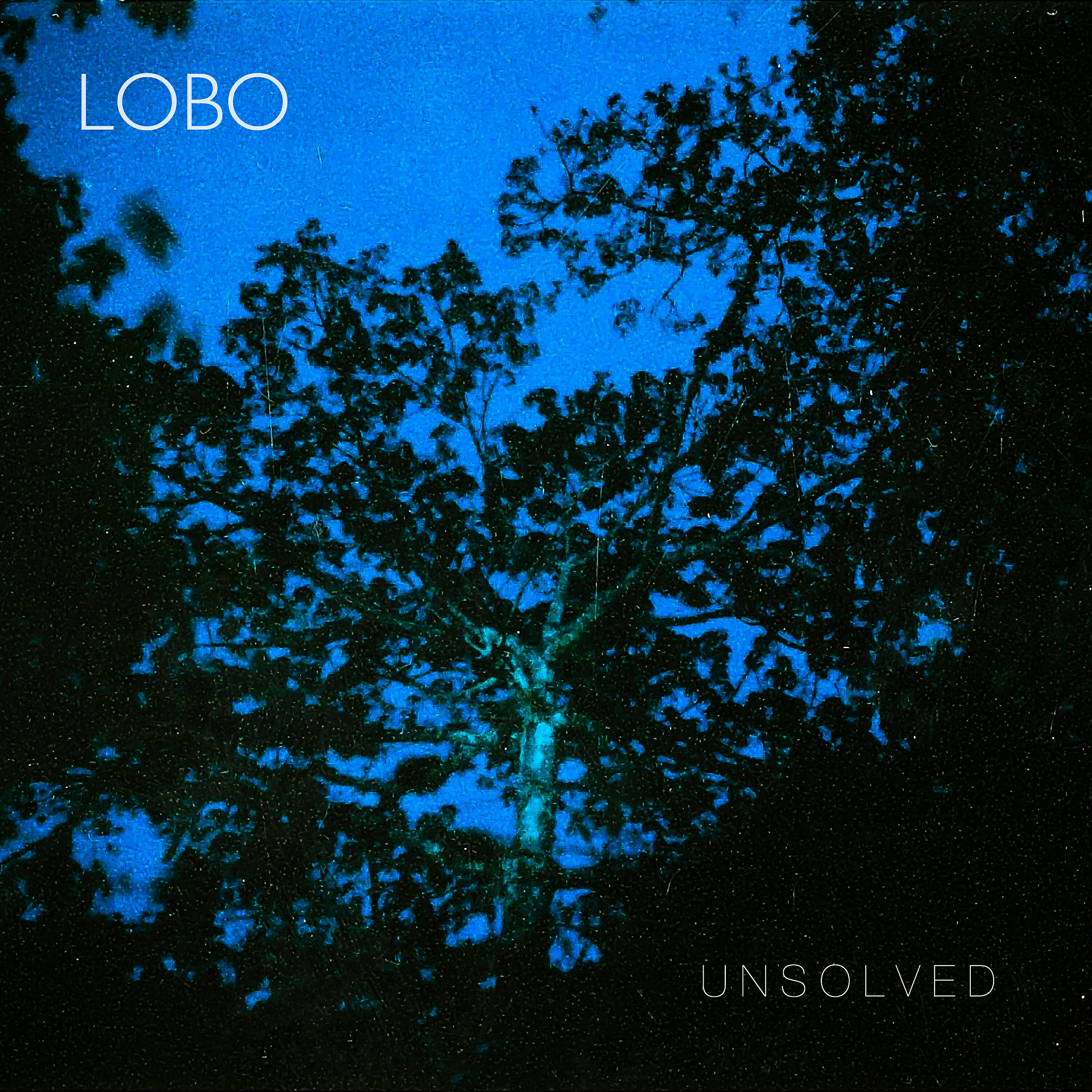 Lobo - Calypso