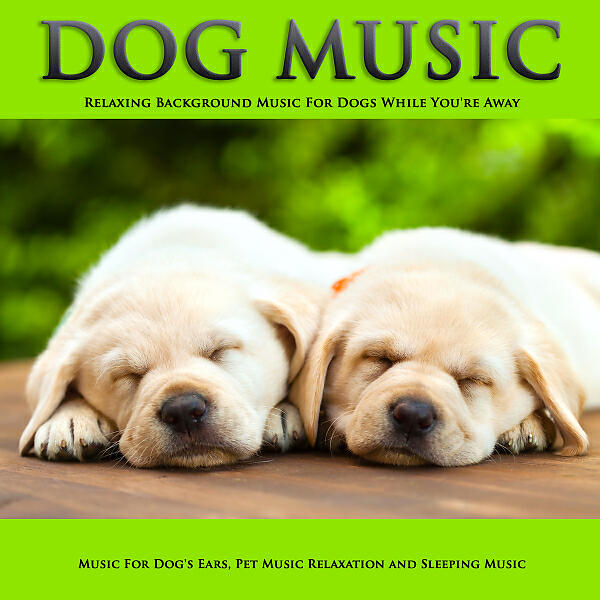 Dog Music - Soothing Music for Pets