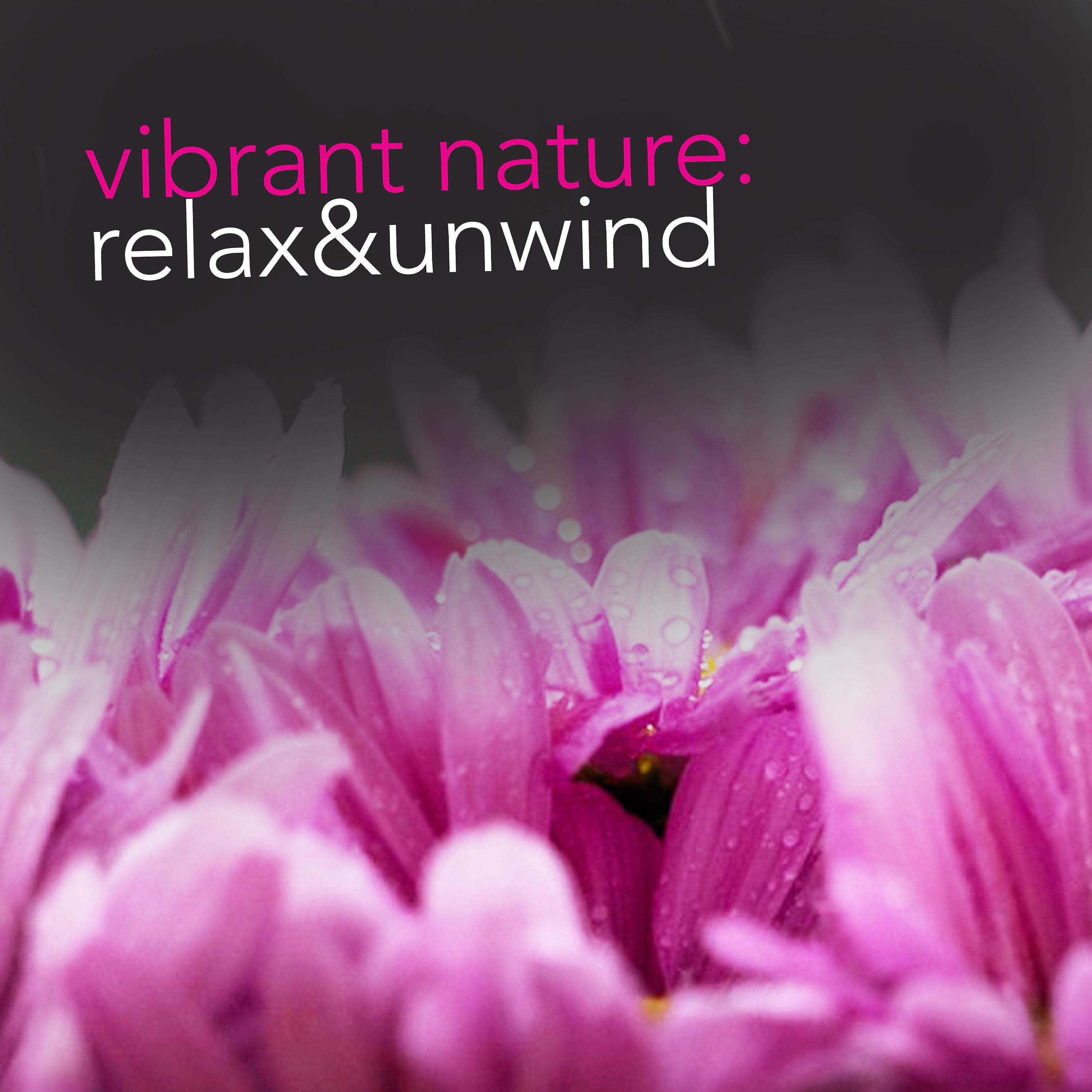 Постер альбома Vibrant Nature: Relax & Unwind