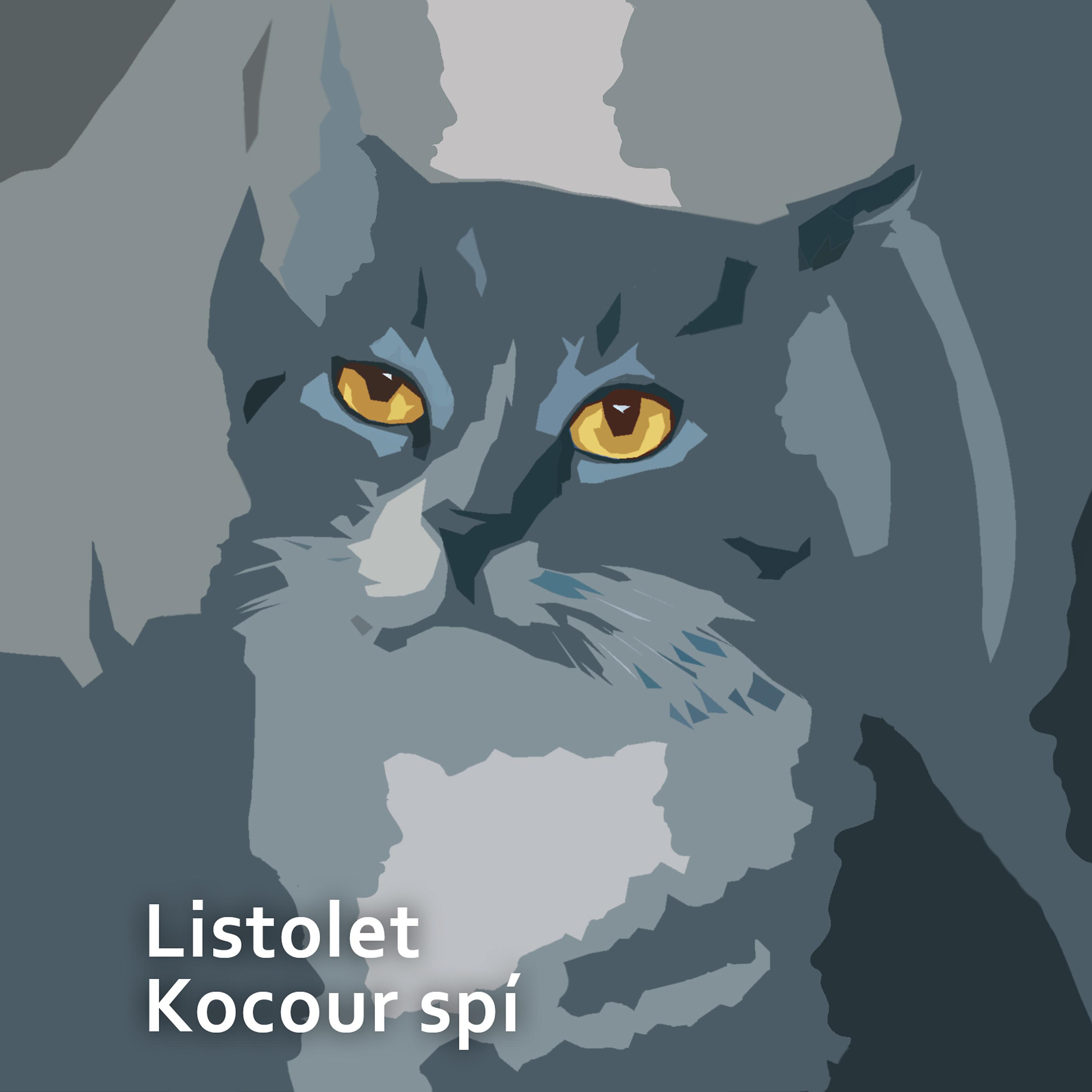Постер альбома Kocour spí