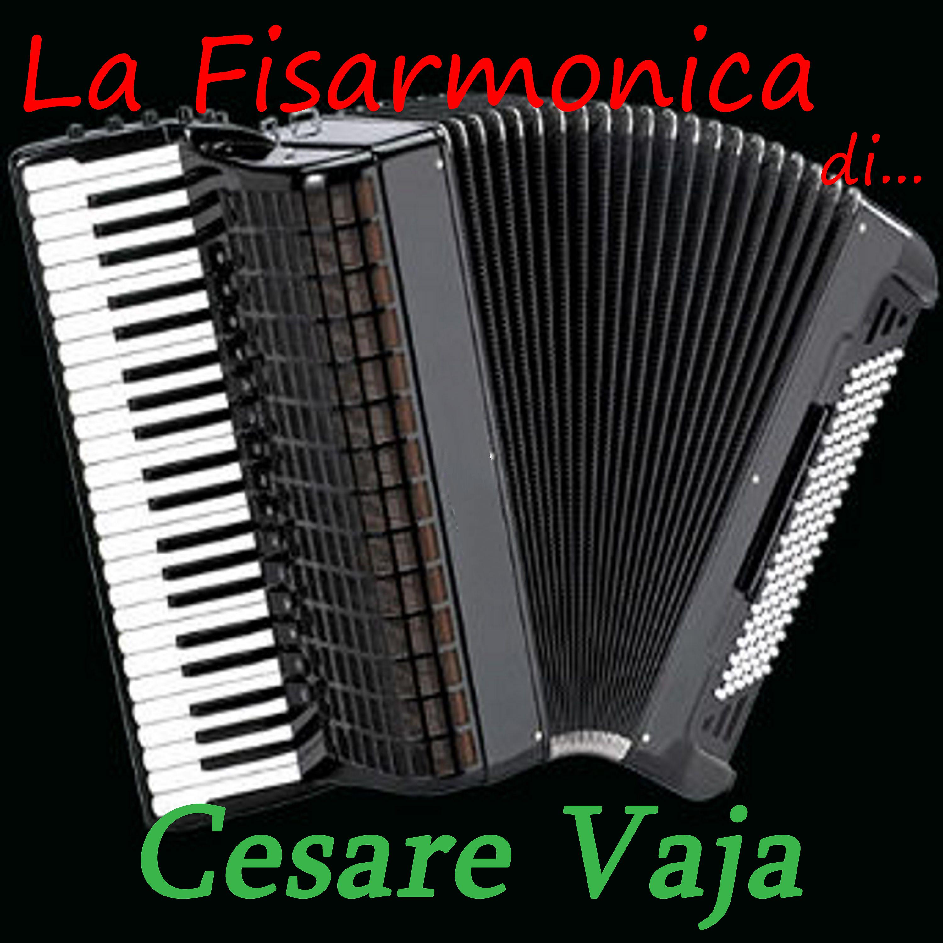 Постер альбома La Fisarmonica di...Cesare Vaja