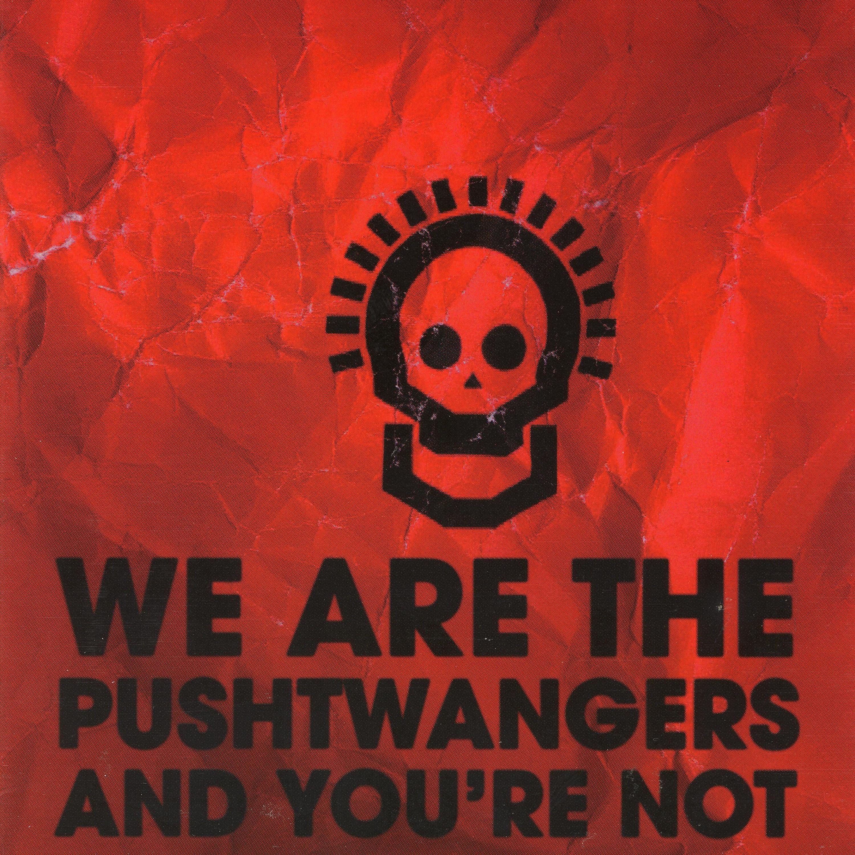 Постер альбома We Are the Pushtwangers and You're Not