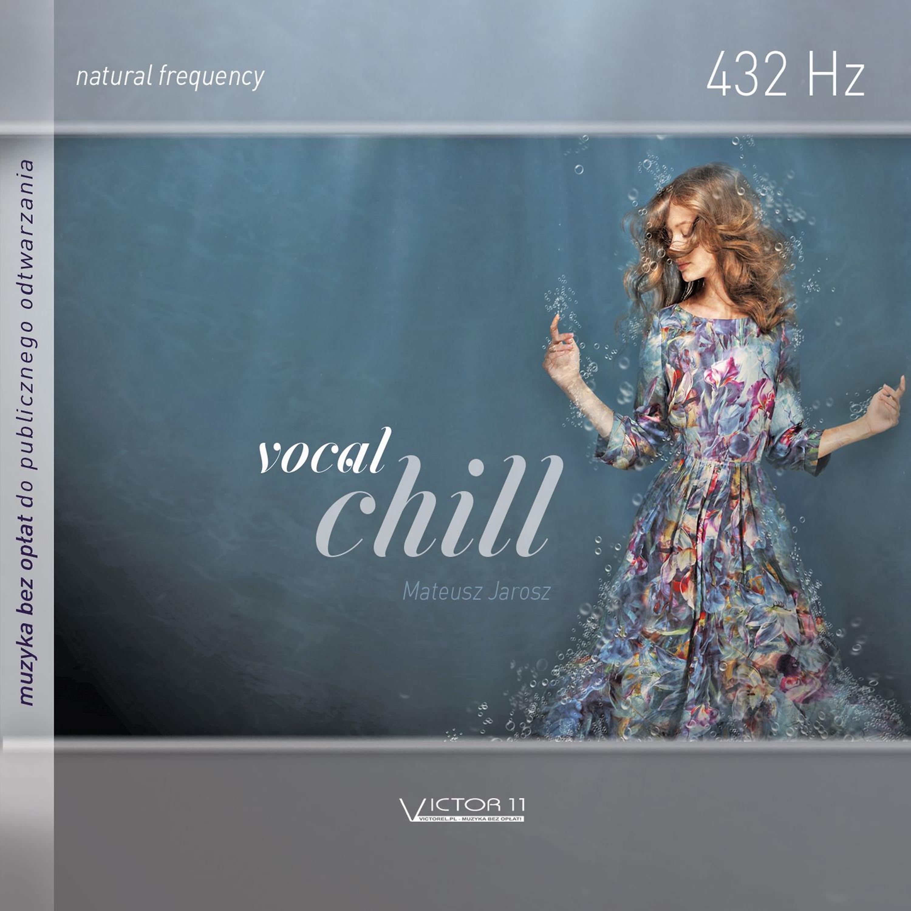 Постер альбома Vocal Chill 432 Hz