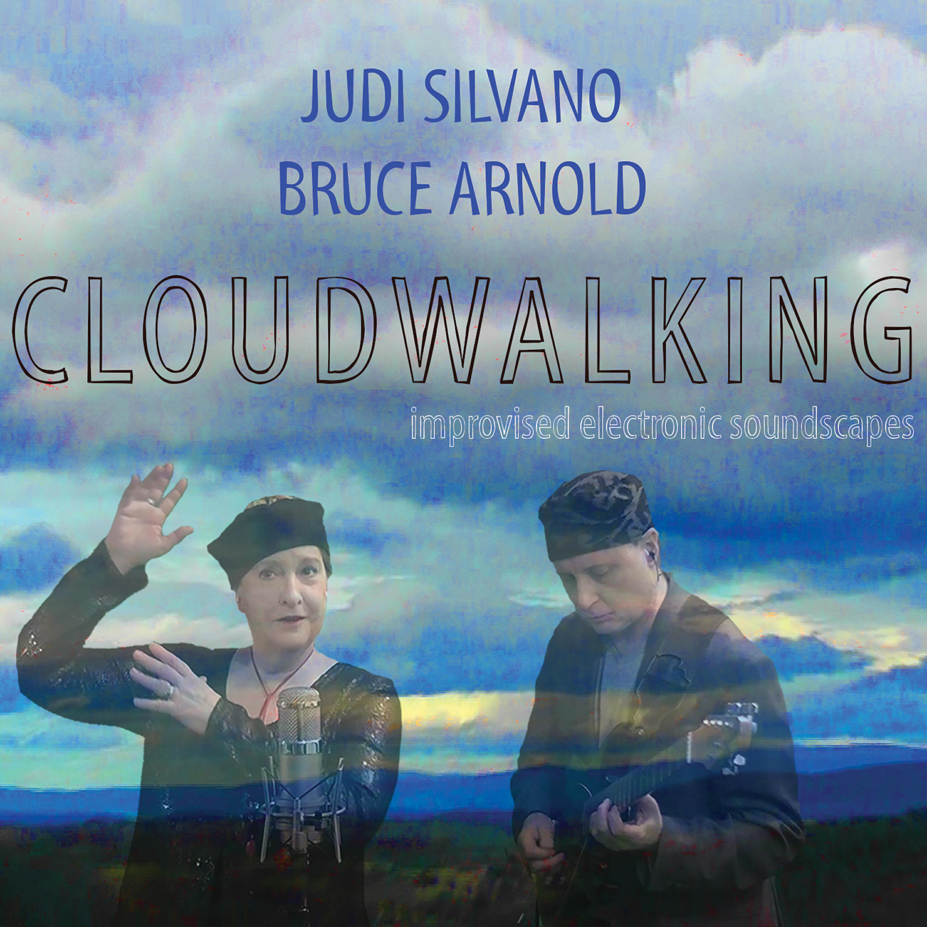 Judi Silvano - Have and Hold