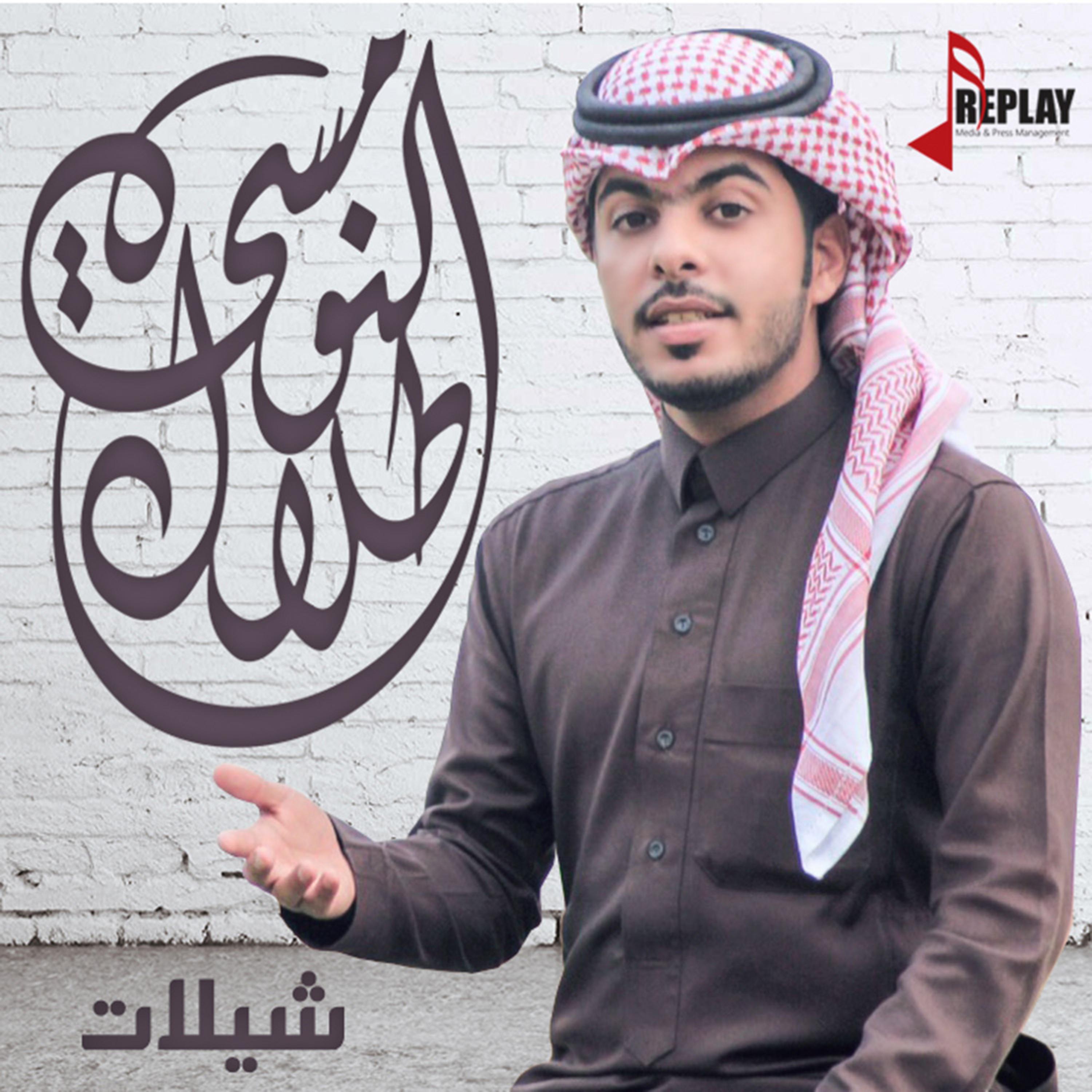 Постер альбома شيلات طلال النومسي