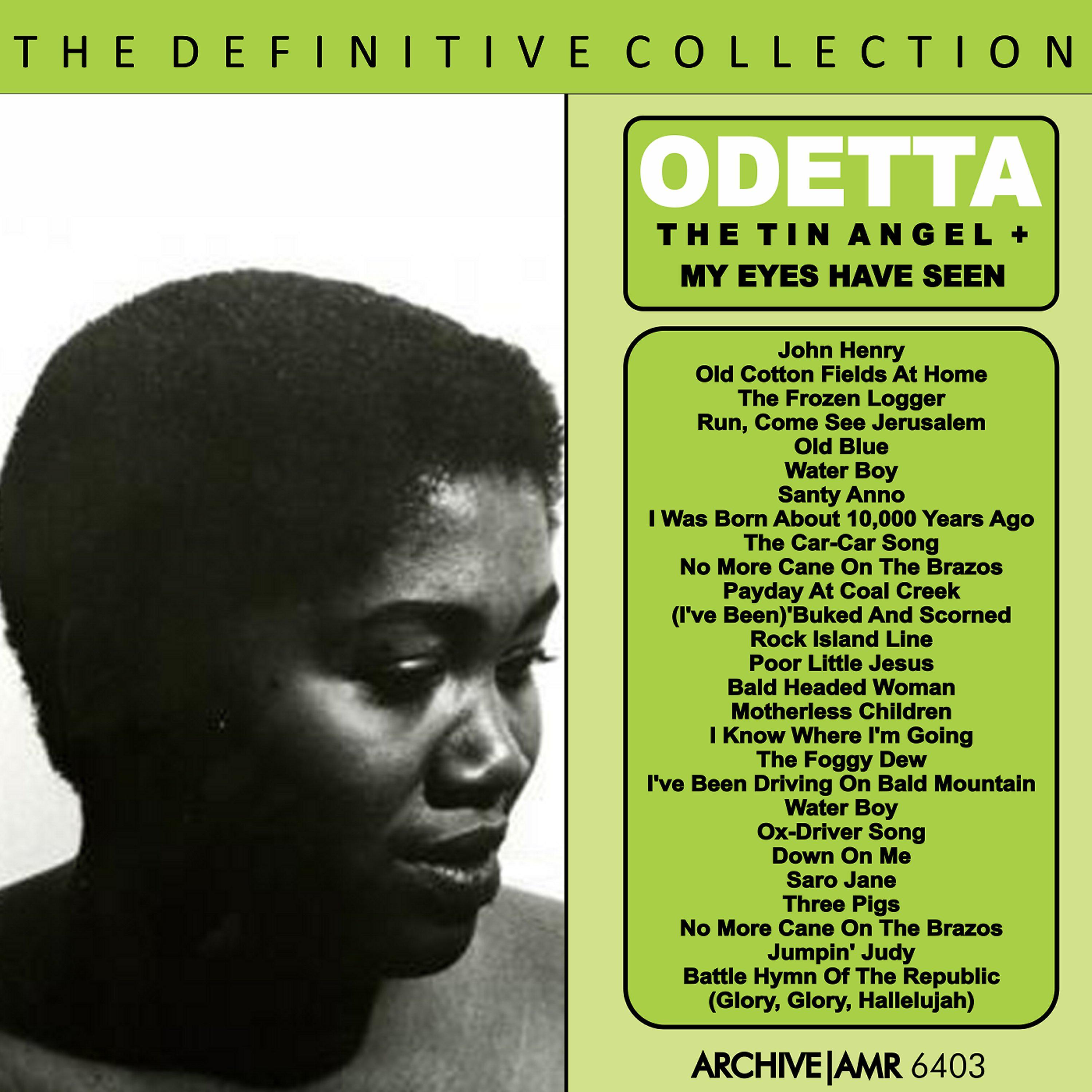 Постер альбома The Definite Collection: The Tin Angel / My Eyes Have Seen