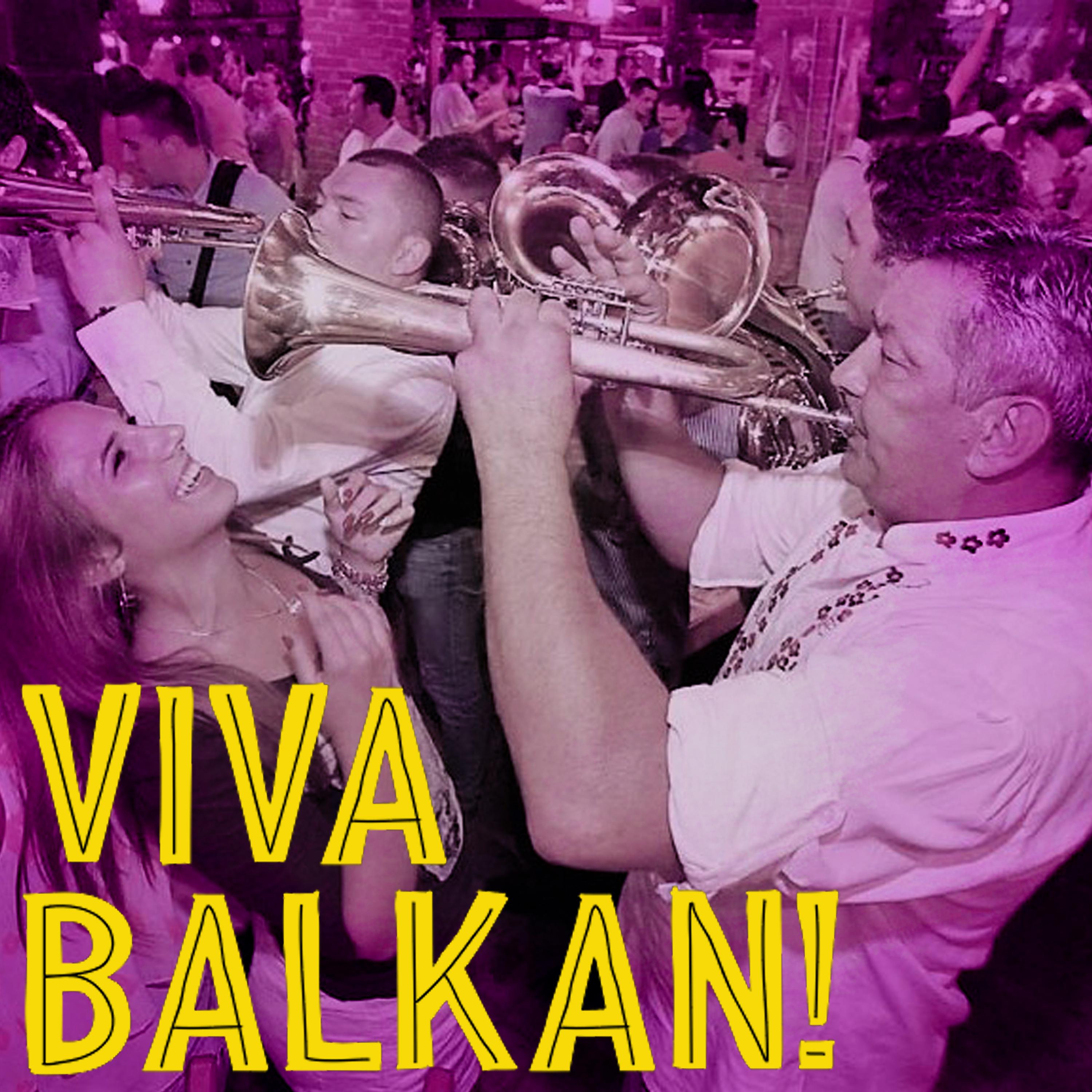 Постер альбома Viva Balkan!