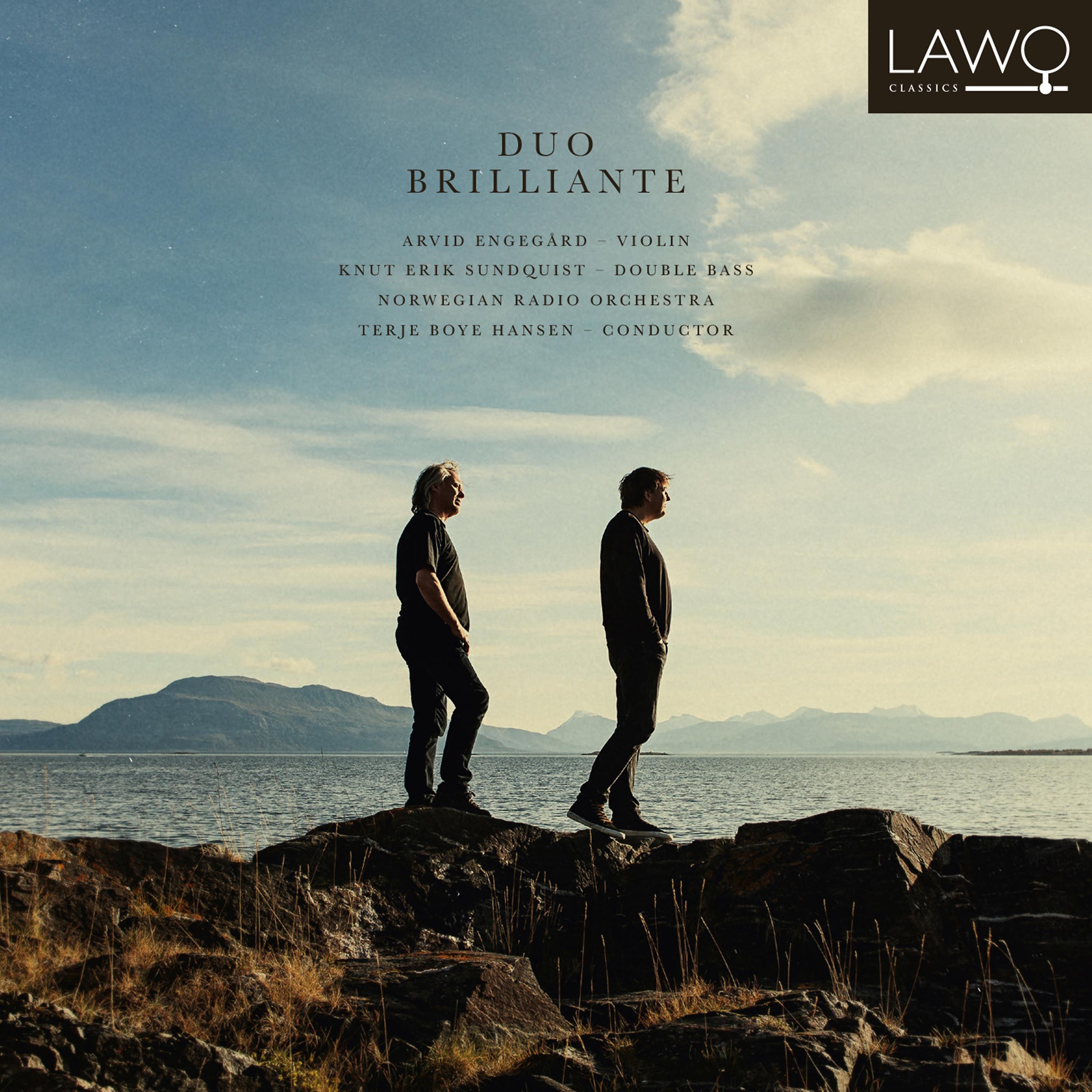 Постер альбома Duo Brilliante