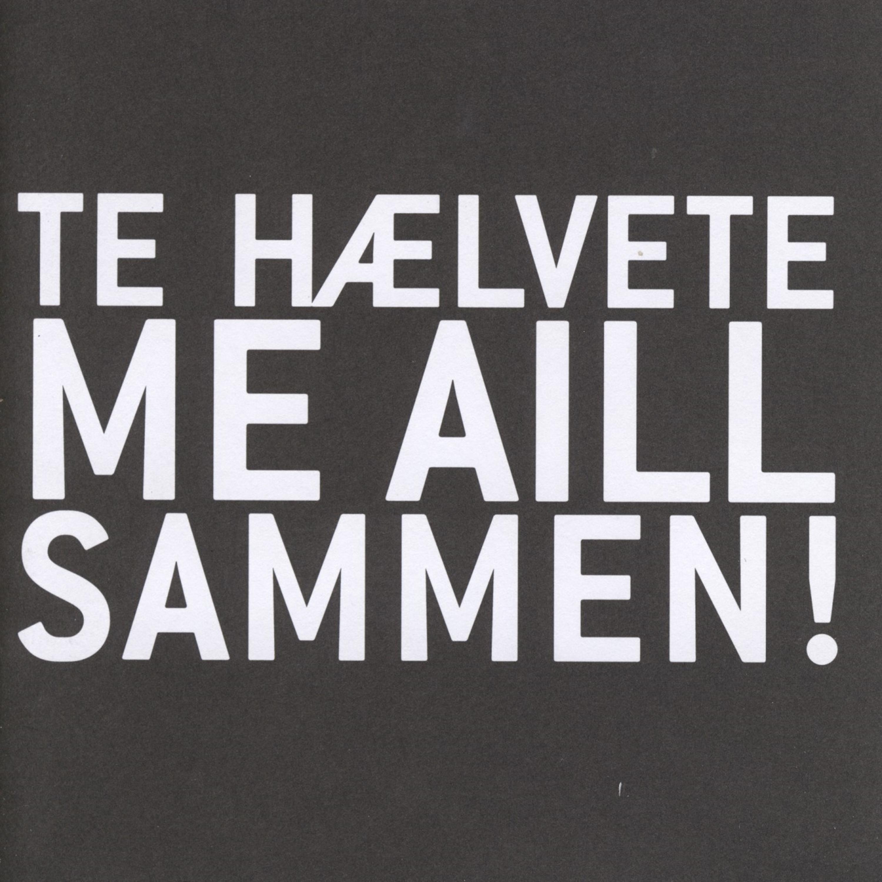 Постер альбома Te Hælvete Me Aill Sammen!