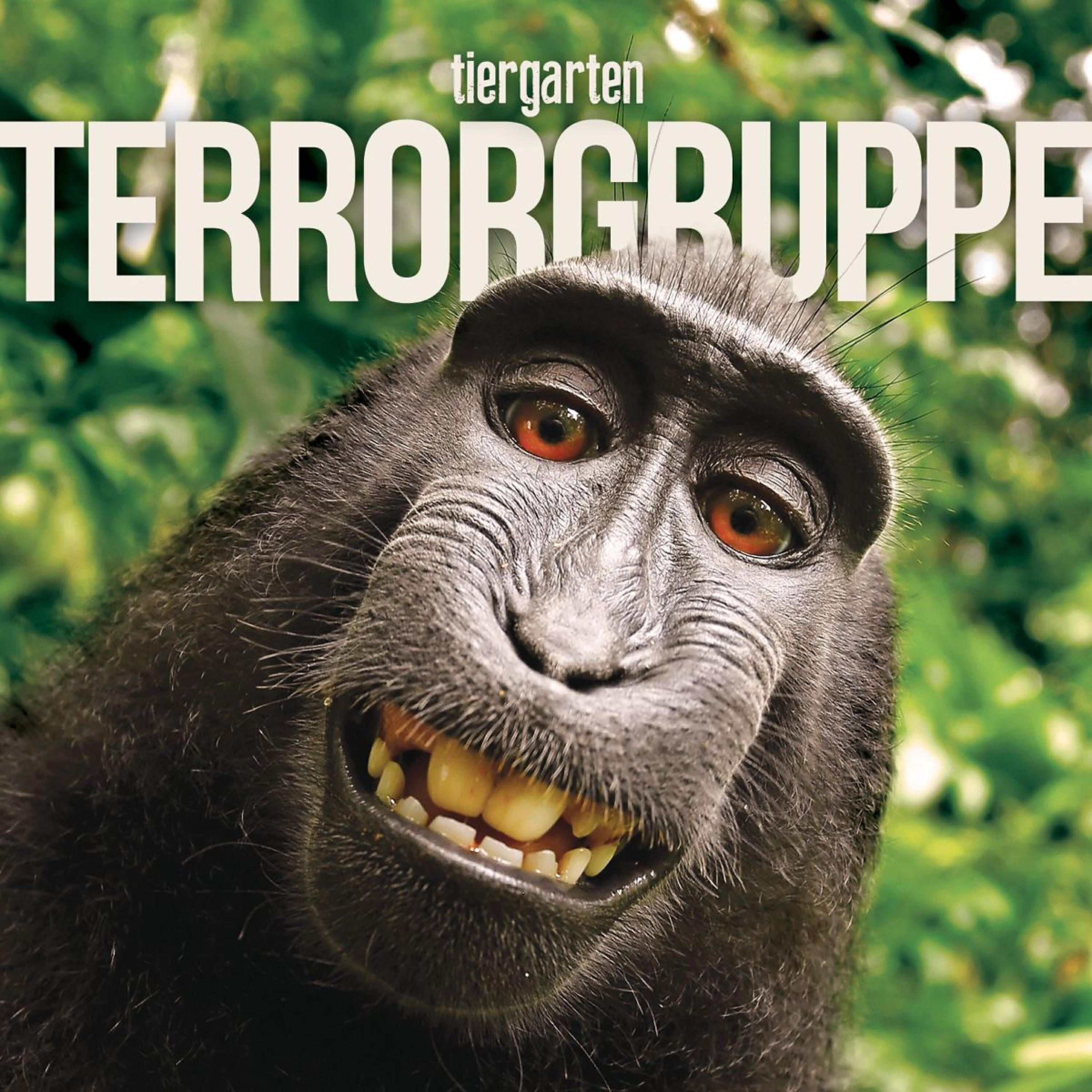 Terrorgruppe - Flashmob Girls