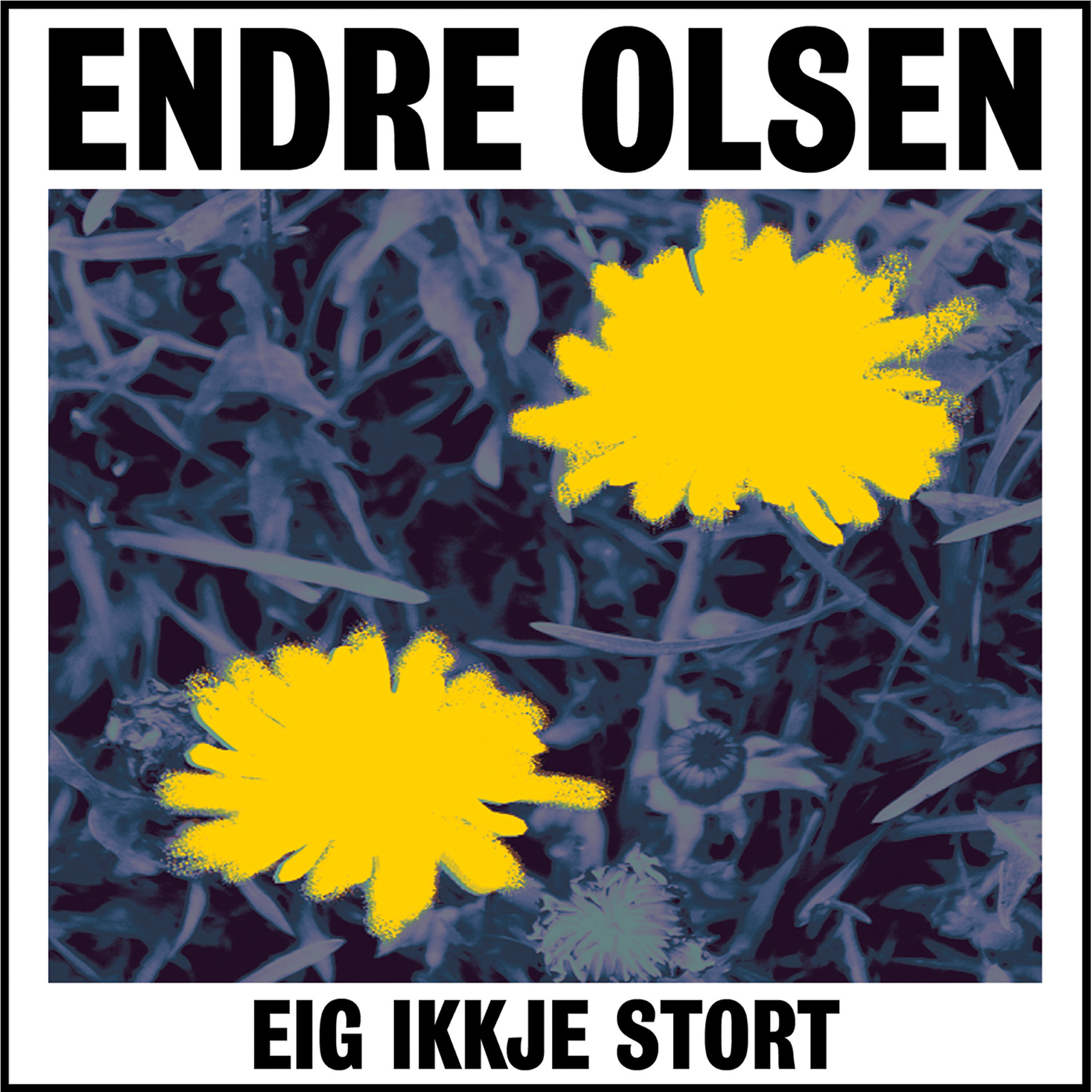 Endre Olsen - Eig ikkje stort