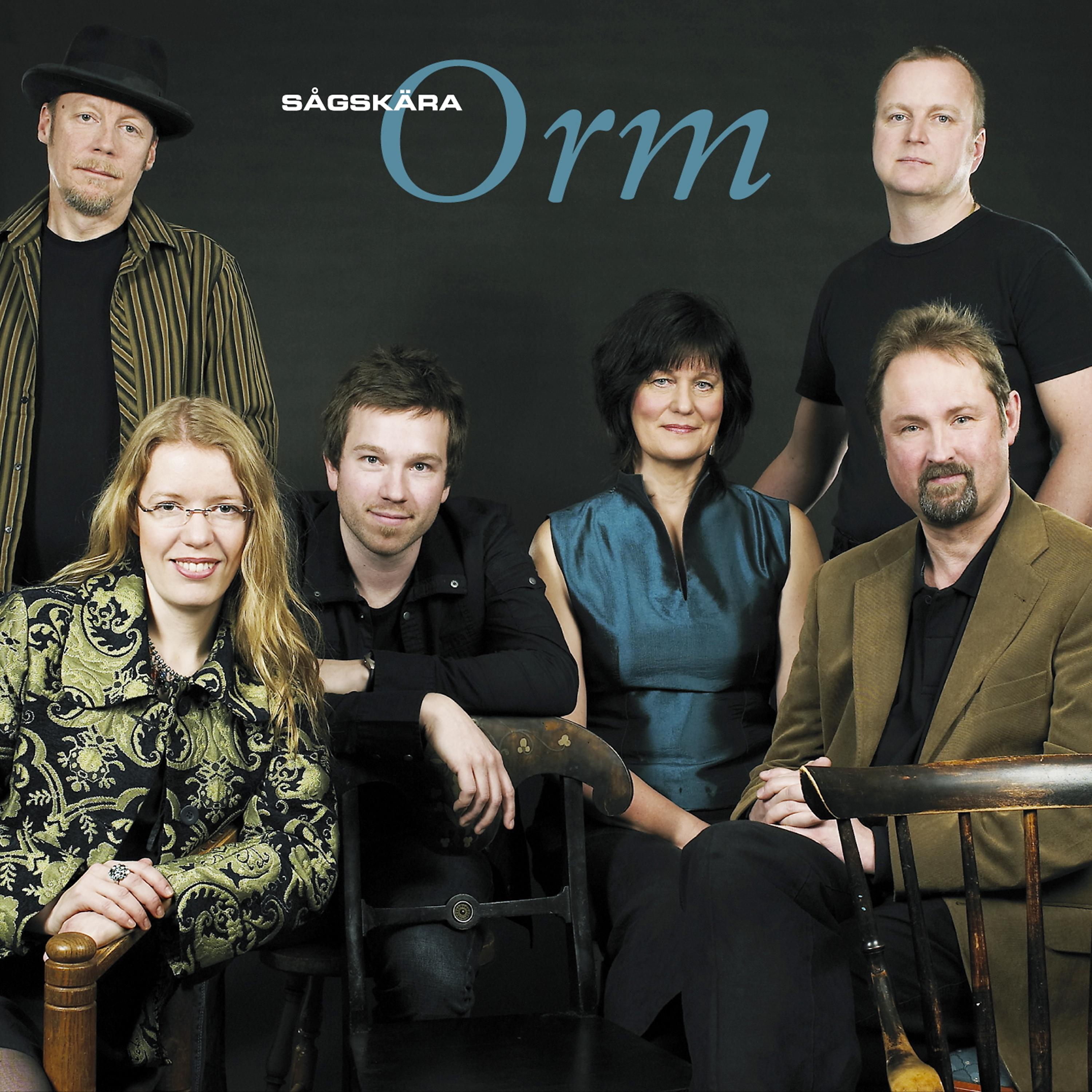Постер альбома Orm