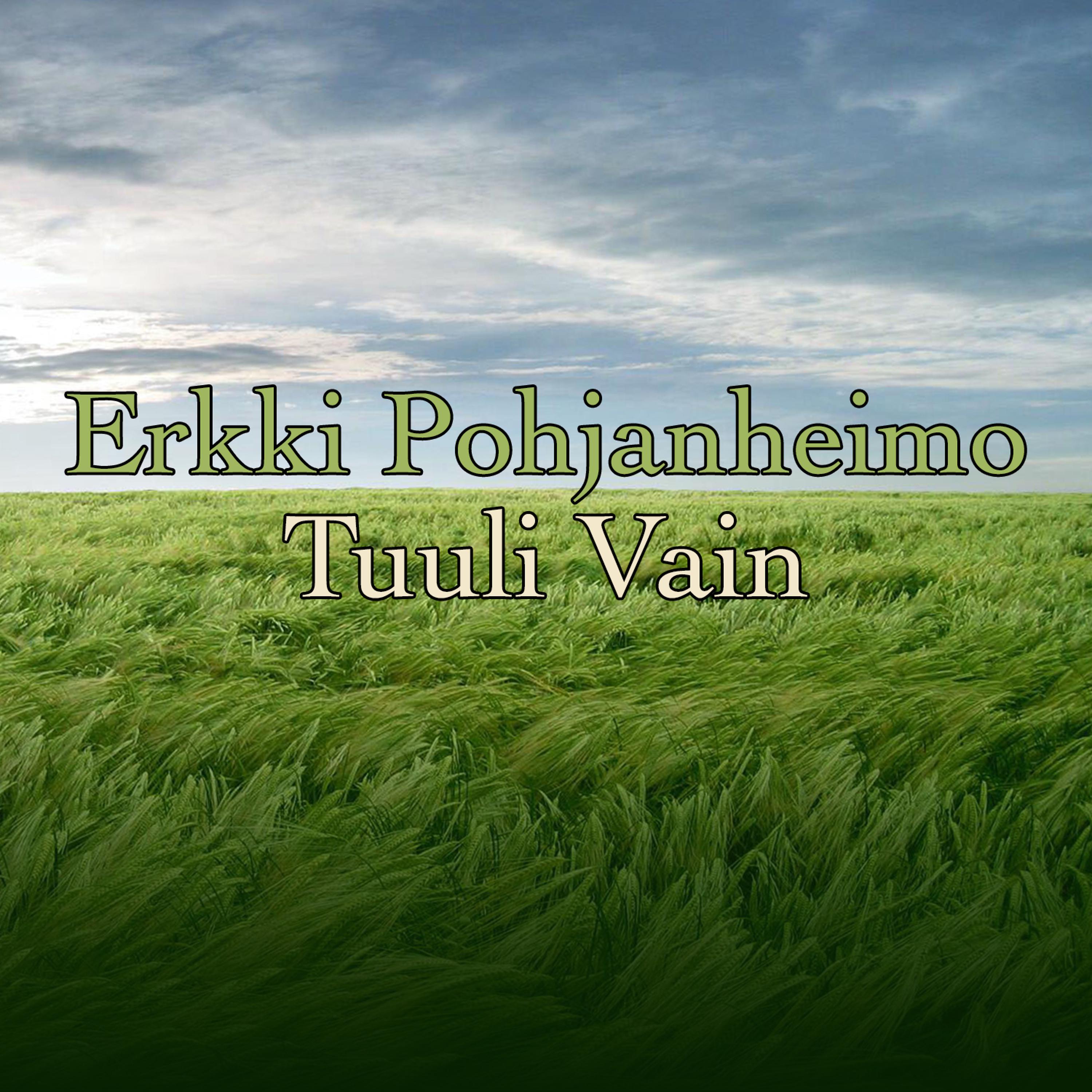 Постер альбома Tuuli Vain