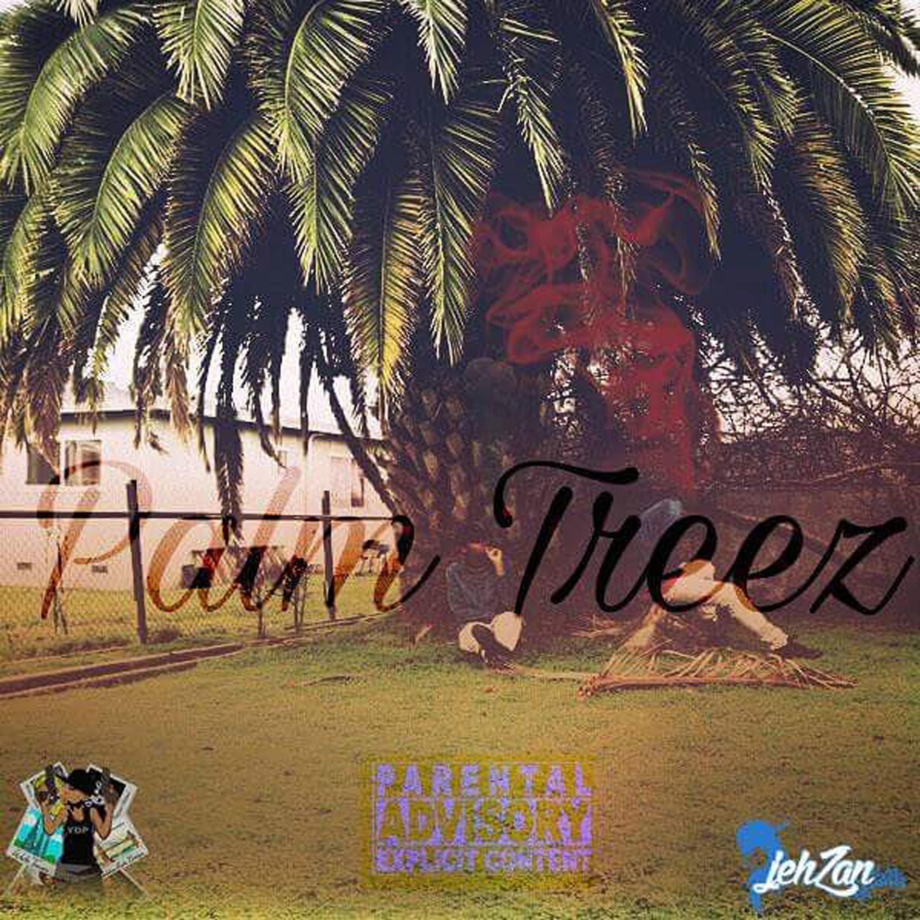 Постер альбома Palm Treez