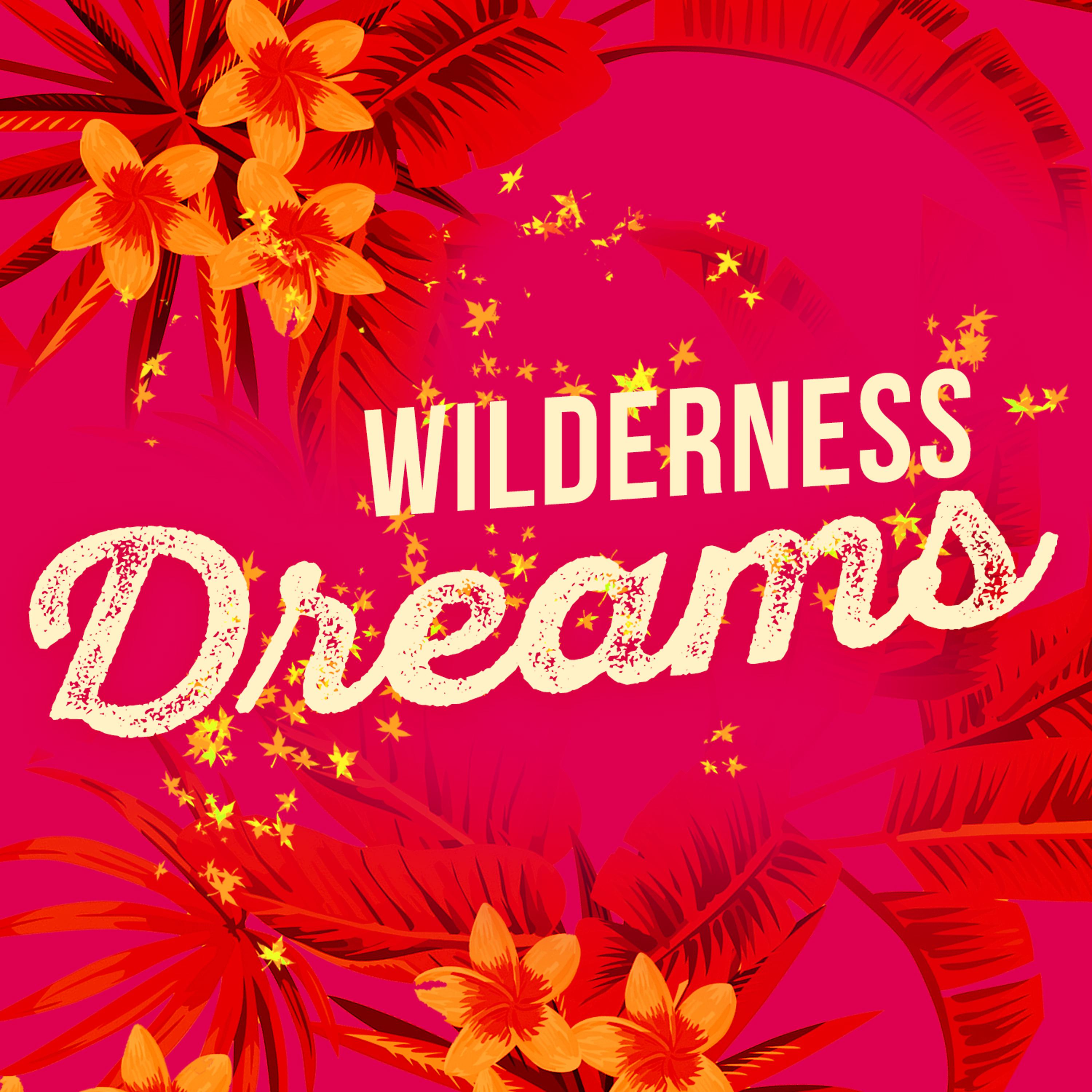 Постер альбома Wilderness Dreams