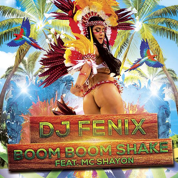 Постер альбома Boom Boom Shake (feat. Mc Shayon)