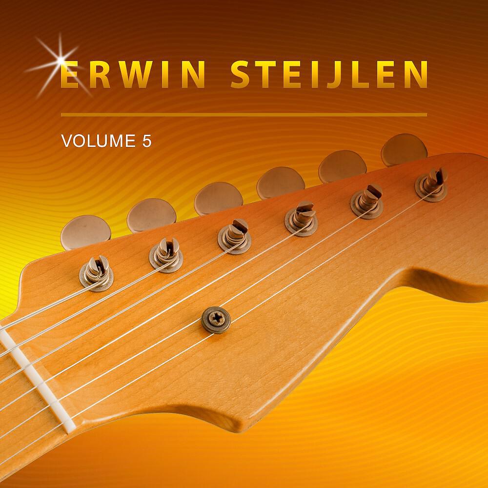 Erwin Steijlen - Styles Theme