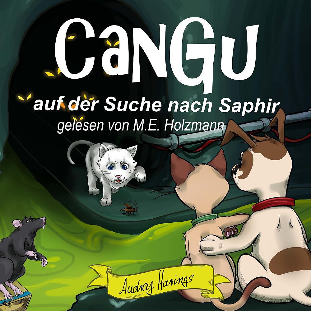 Постер альбома Cangu auf der Suche nach Saphir
