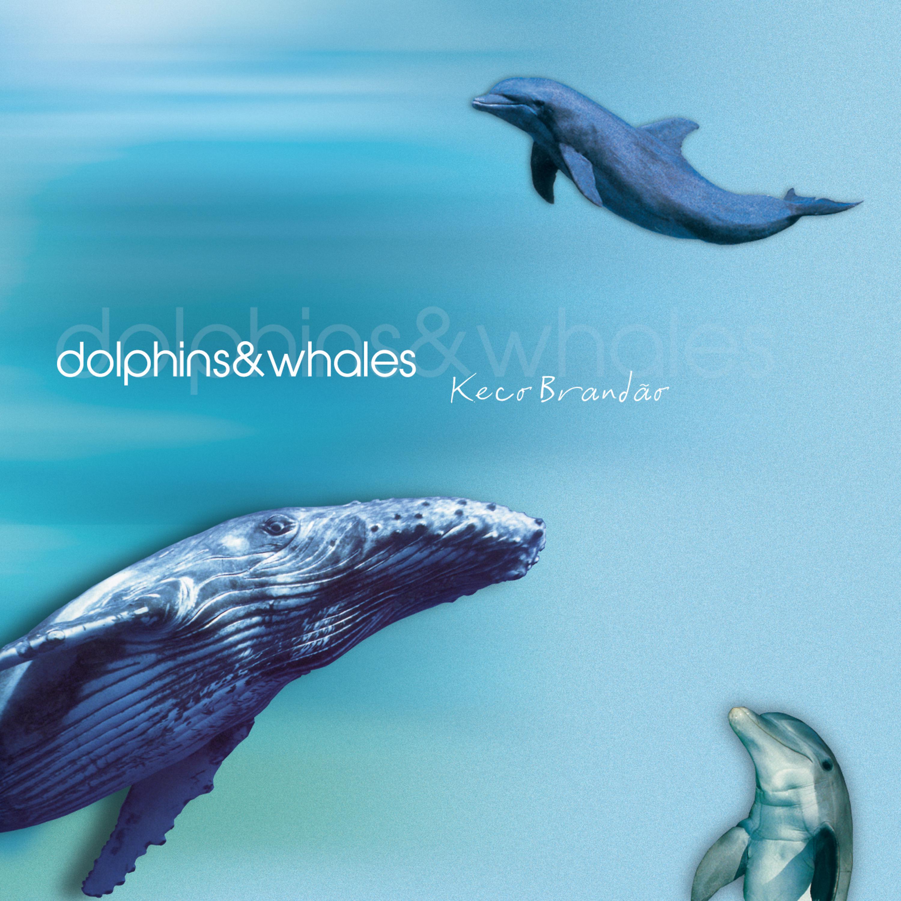 Постер альбома Dolphins & Whales