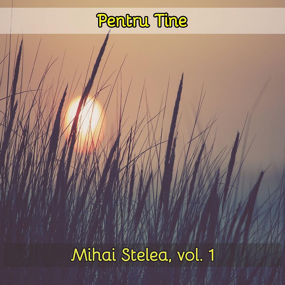 Mihai Stelea - Il laud...