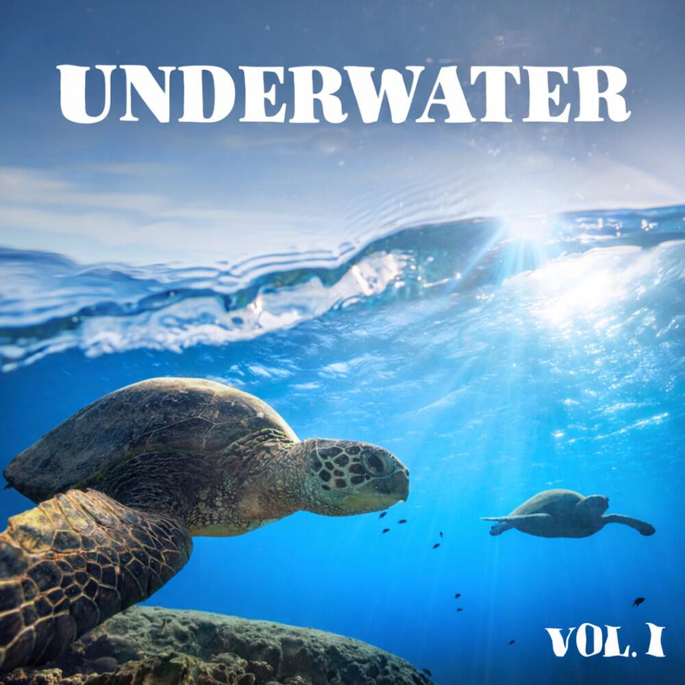 Steven Solveig - Deep Barrier Reef